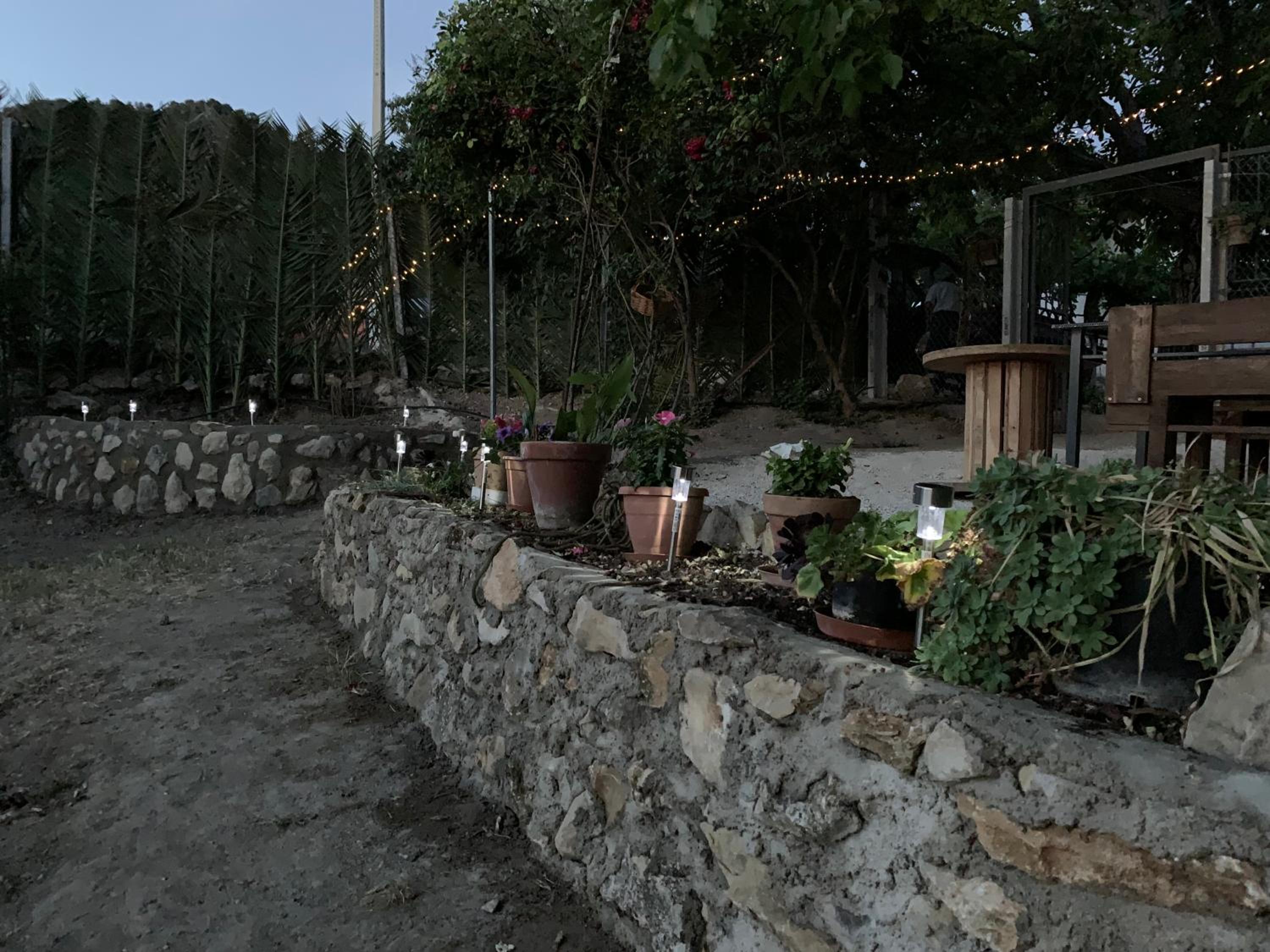 Photo 8