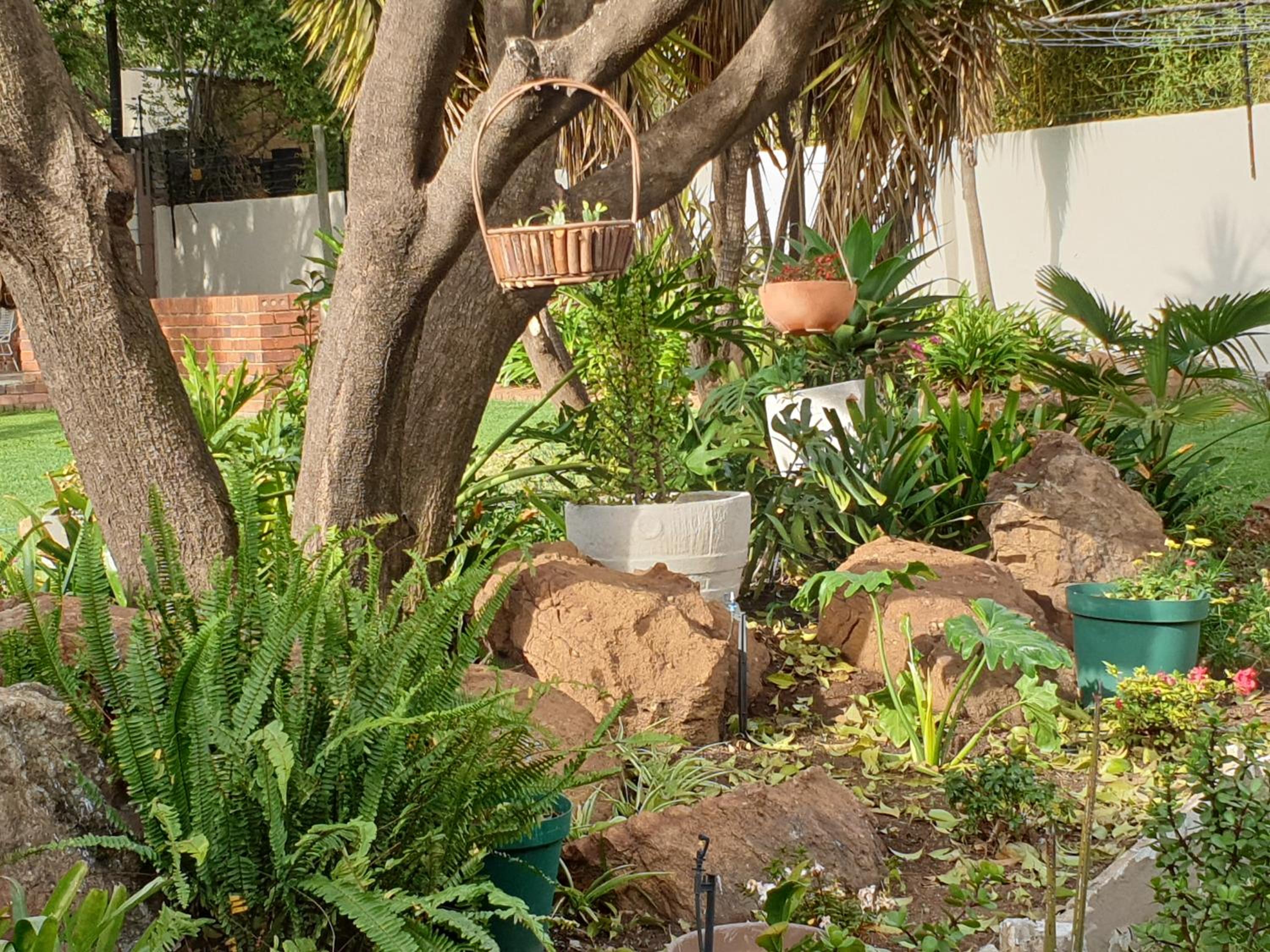 Elephant Bush Guest Cottage