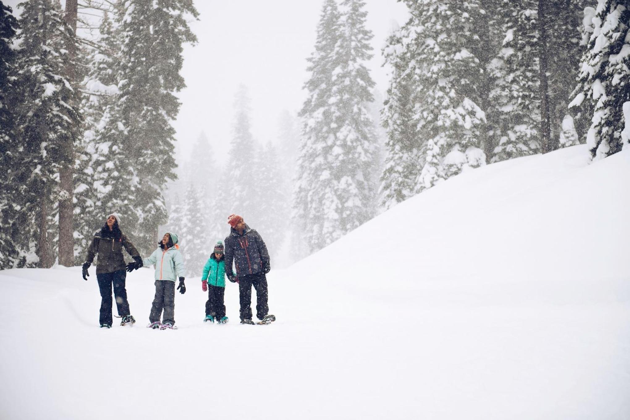 Lake Tahoe Vacations - Northstar Village 216 - Property Image 3