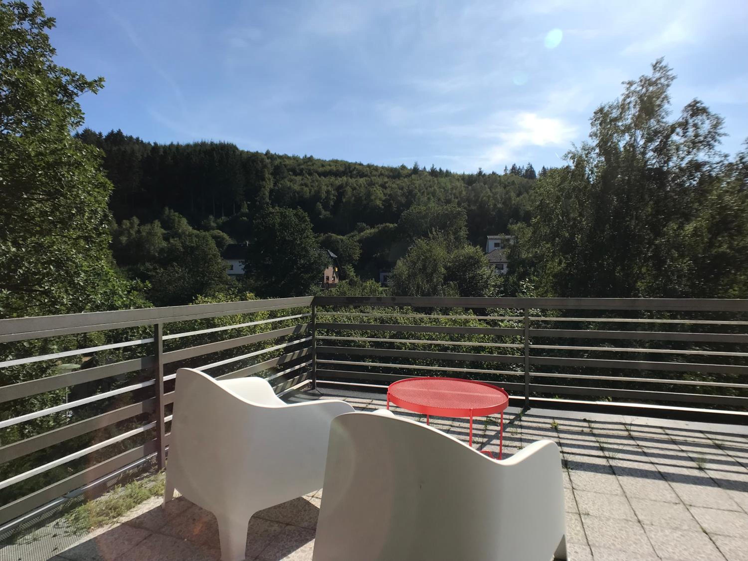 Villa Holgenbach - Penthouse und Ferienwohnung im Nationalpark Eifel, photo 15
