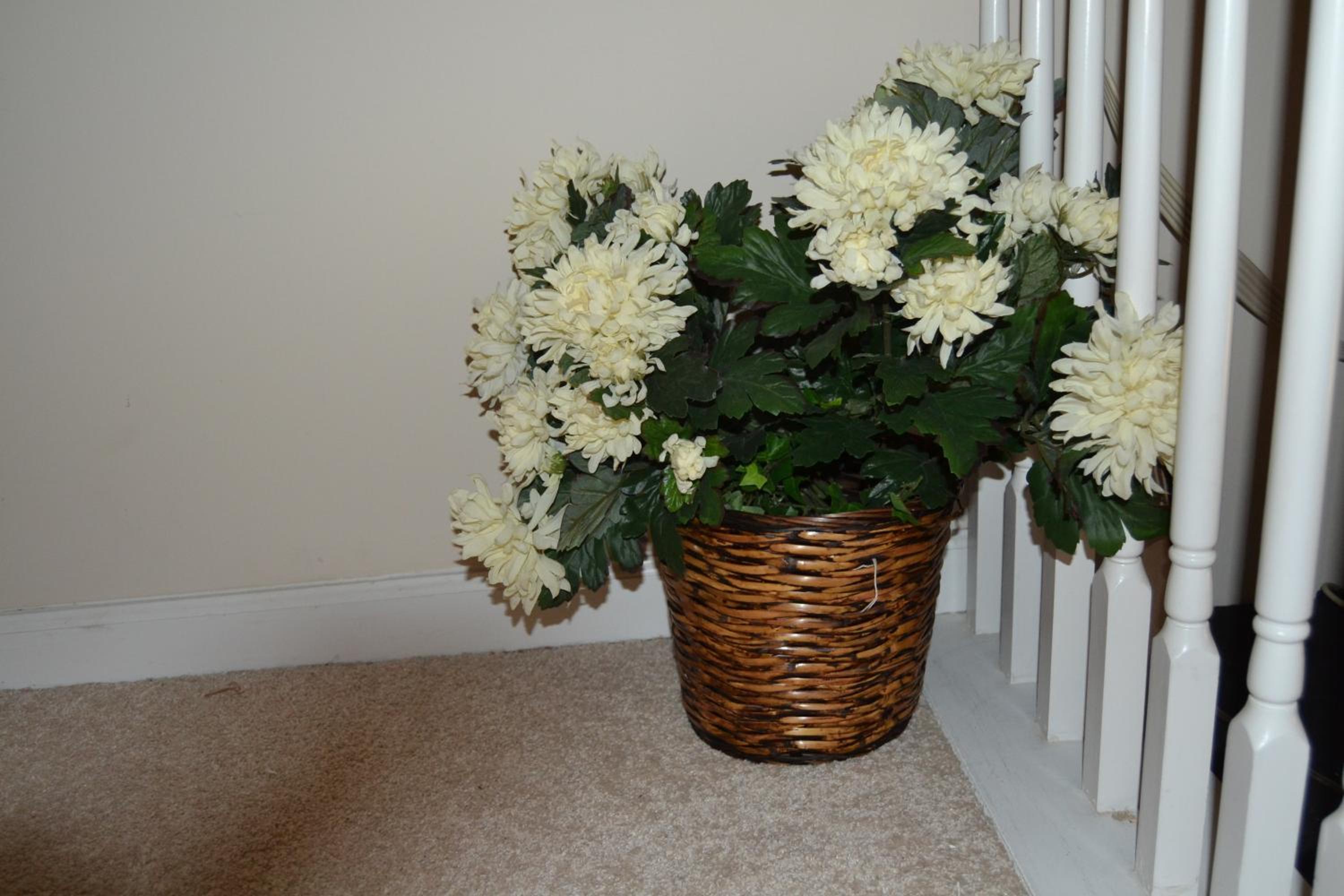 Cascade Comfort view 4