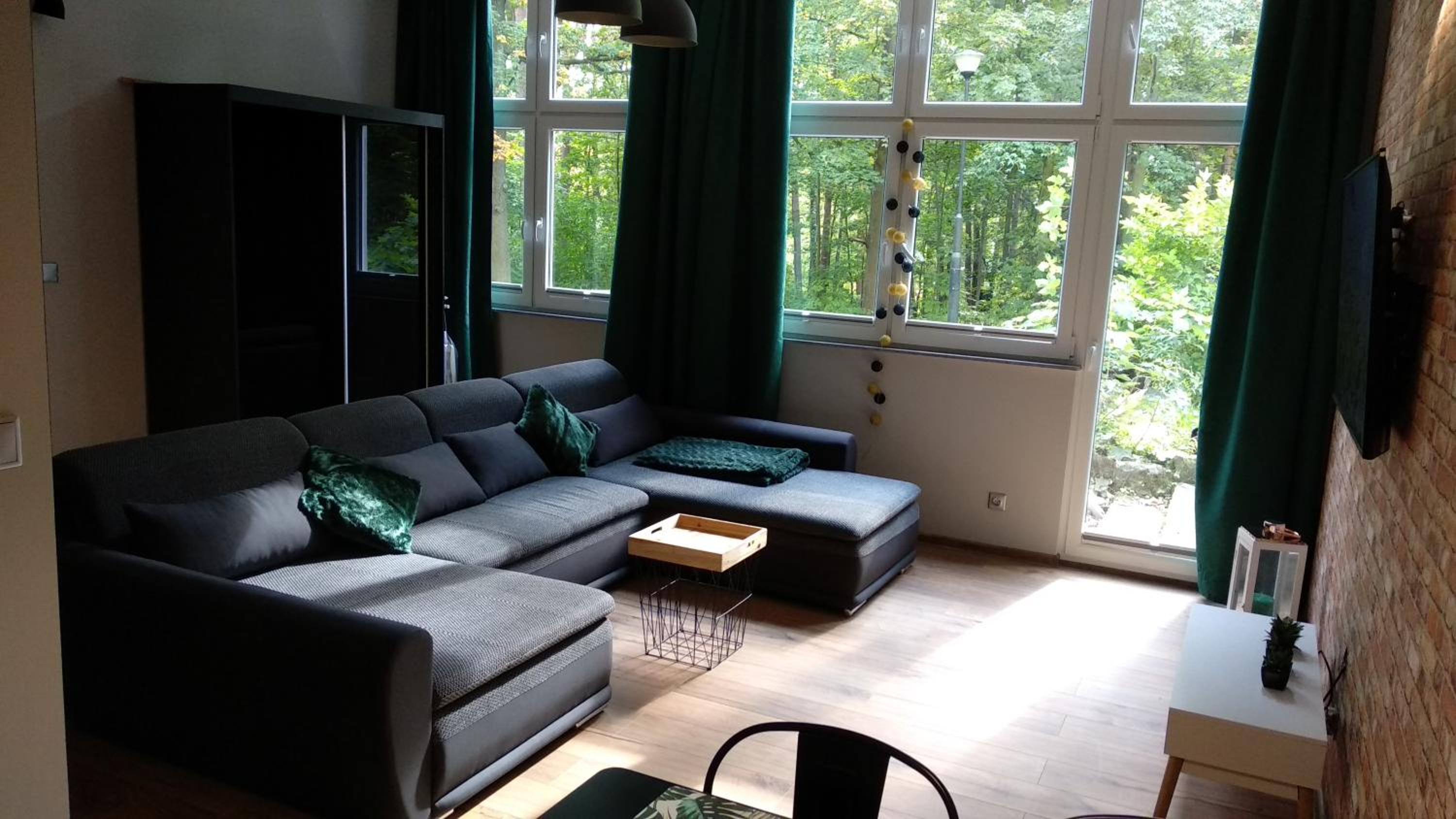 Apartament 5 przy Parku Leśnym view 2