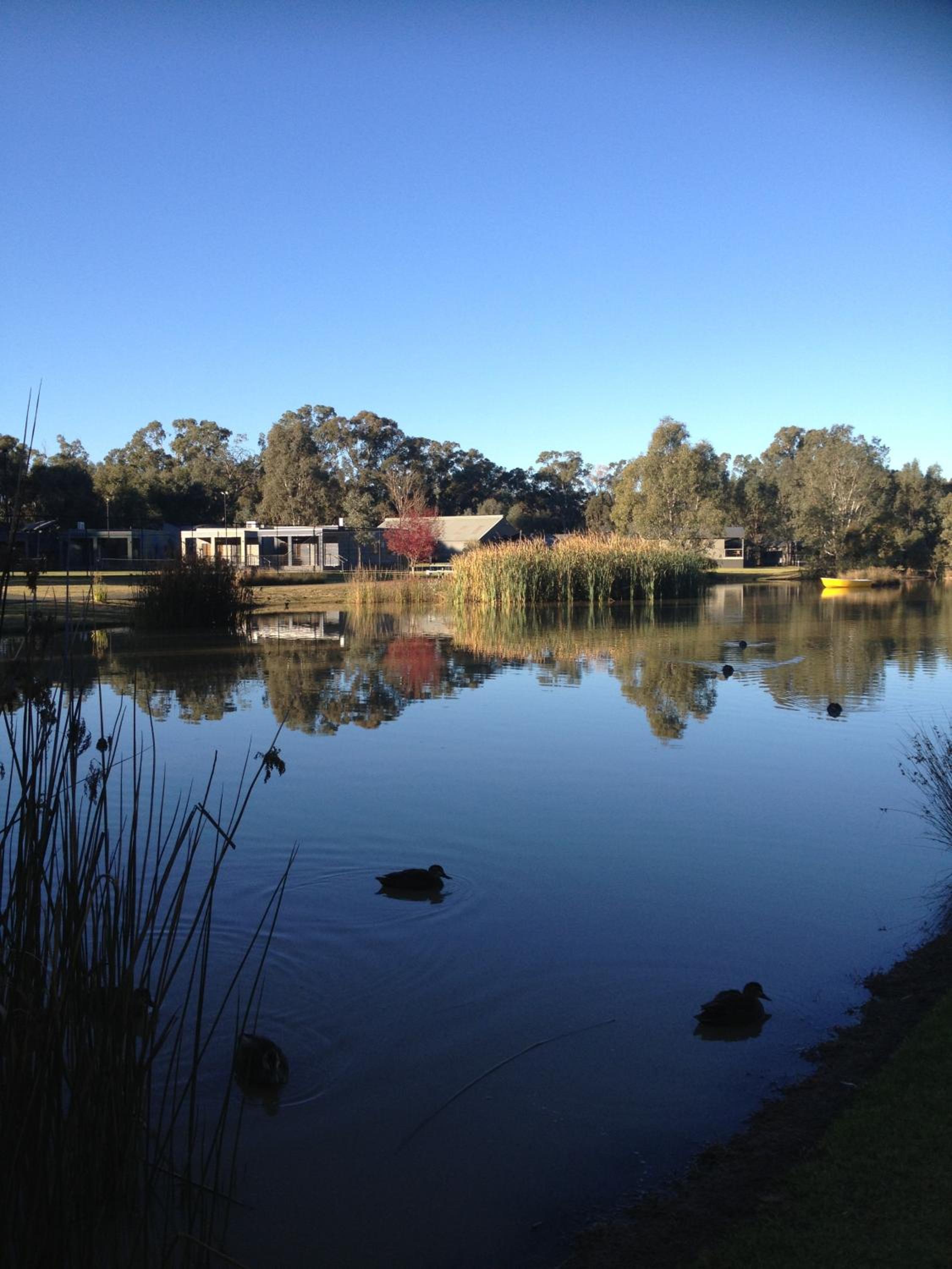 Tasman Holiday Parks - Moama on the Murray