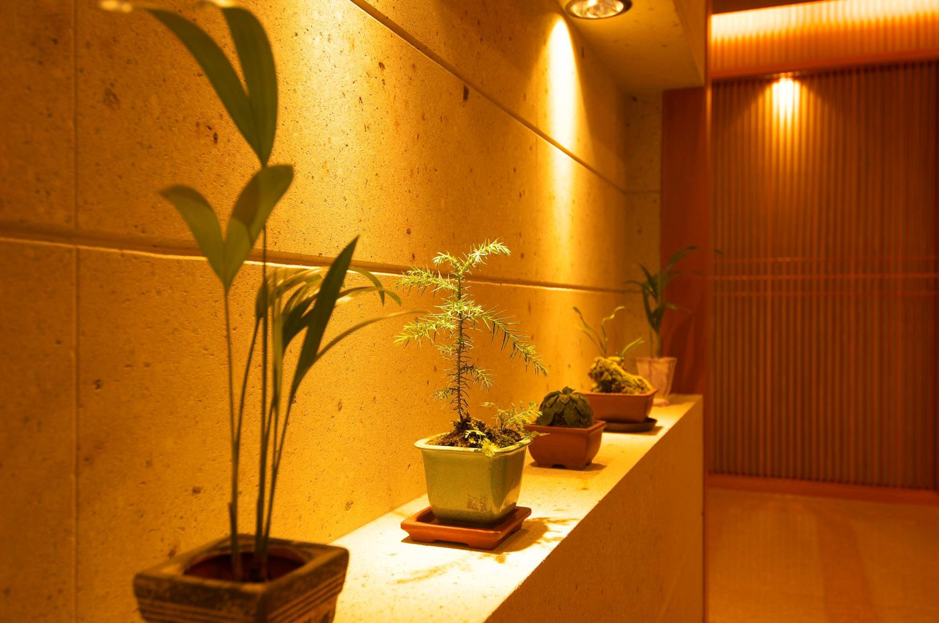 Arima Onsen Taketoritei Maruyama