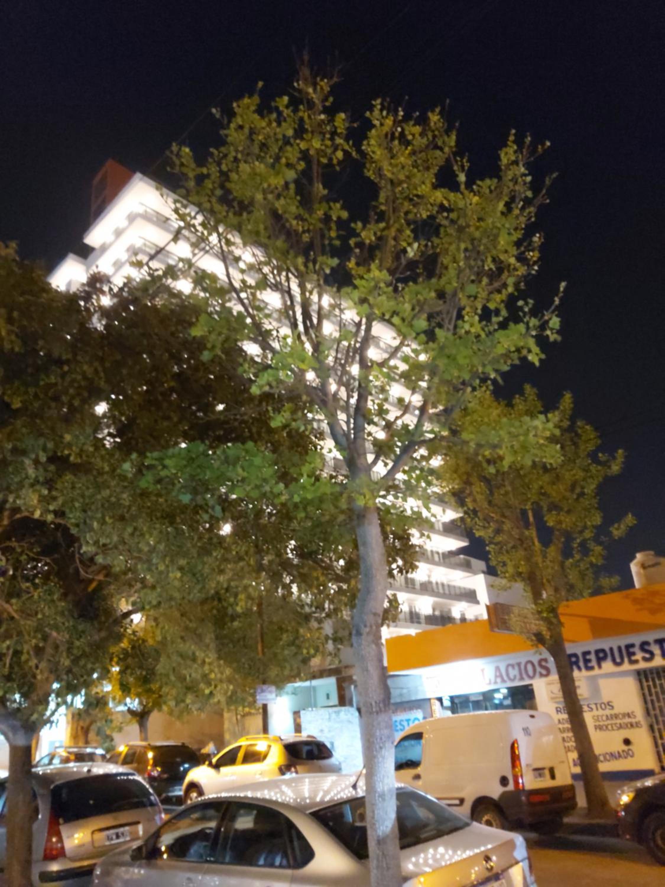 Edificio Leonardo, 5to piso