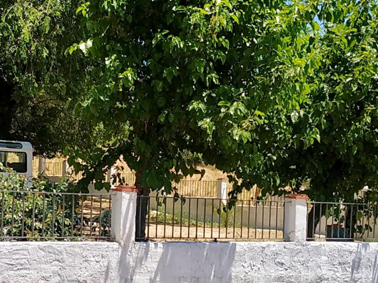 Photo 26