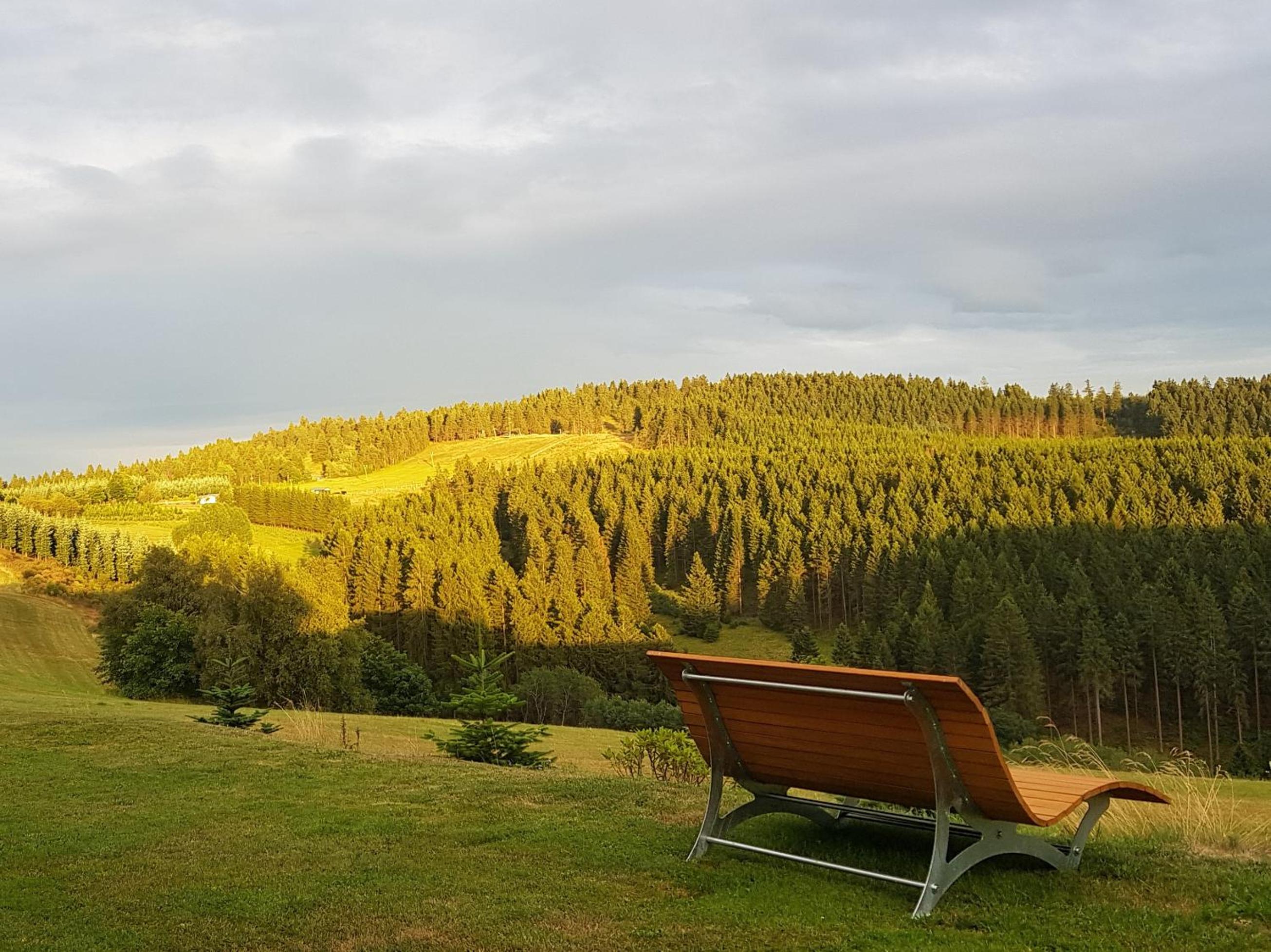 Pension Haus Astenblick view 5