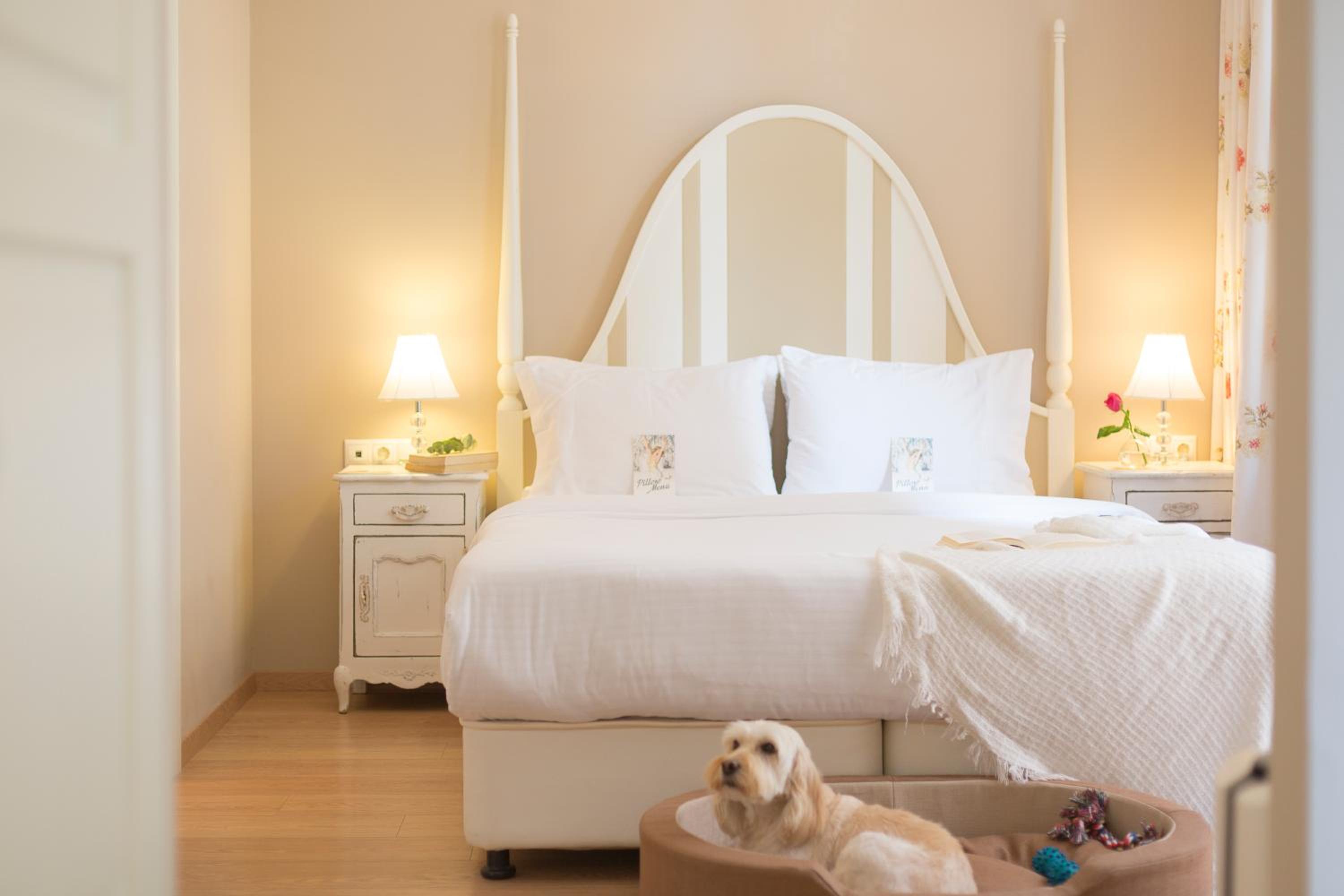 Gatto Perso Luxury Studios And Apartments
