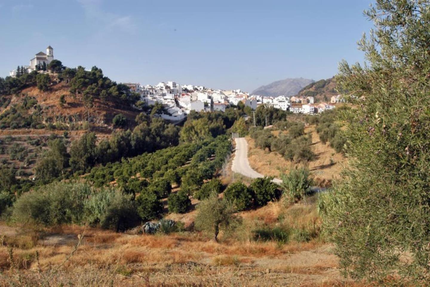 Photo 9
