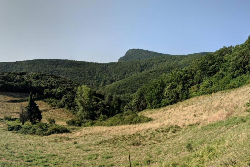Le Belvedere view 2