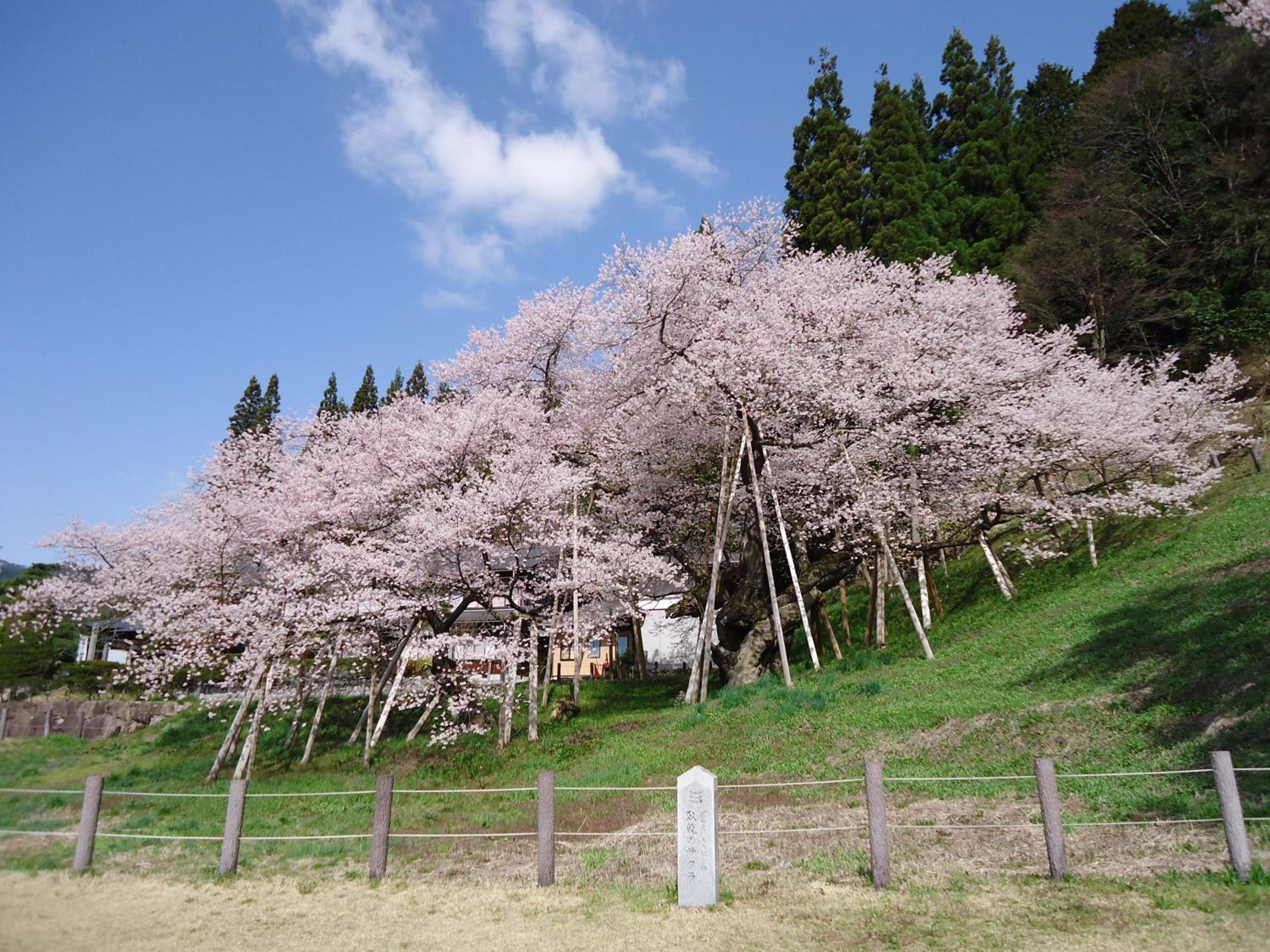 BEYOND HOTEL Takayama 1st