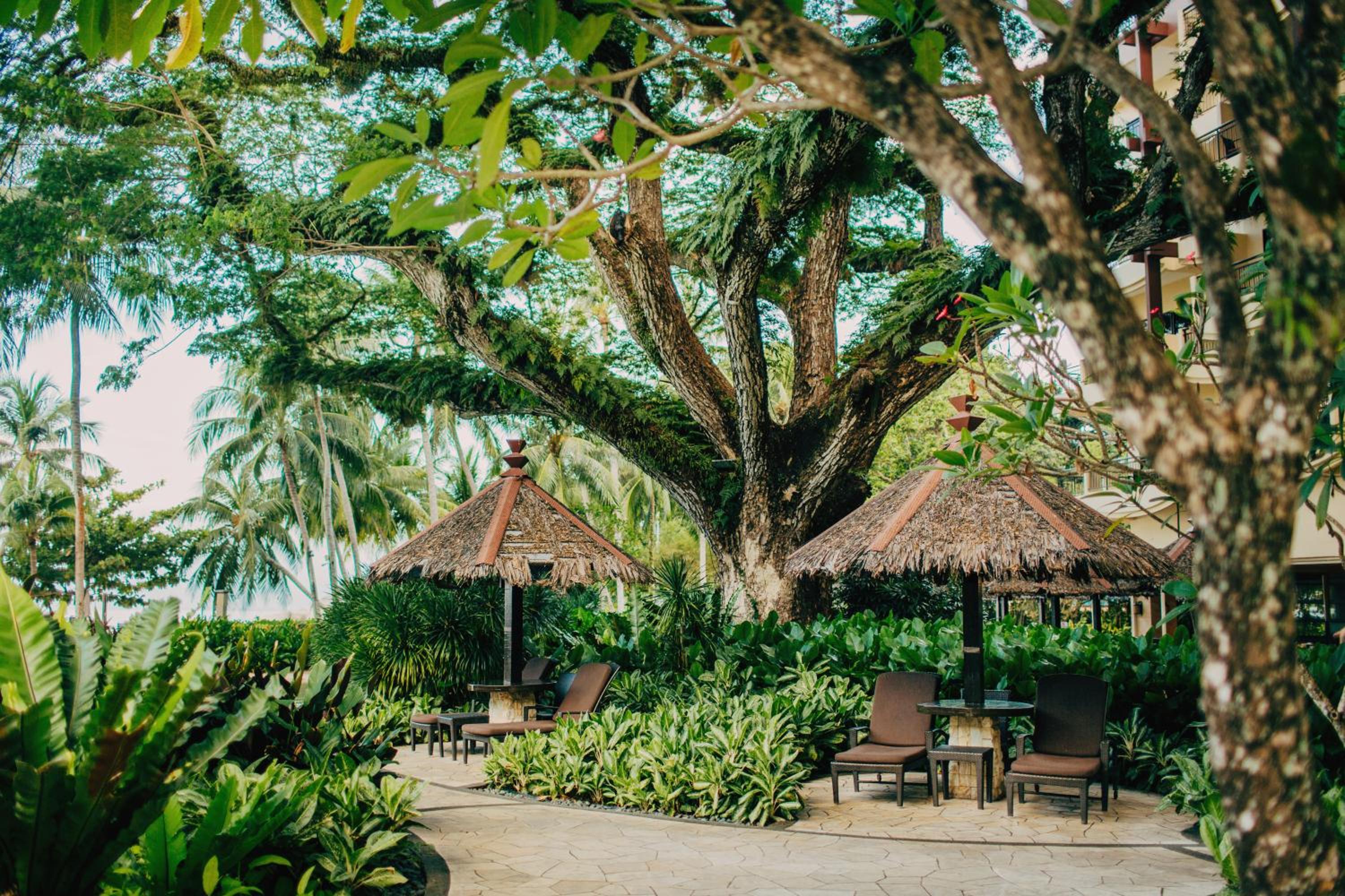 Shangri-La Rasa Sayang, Penang - Image 5