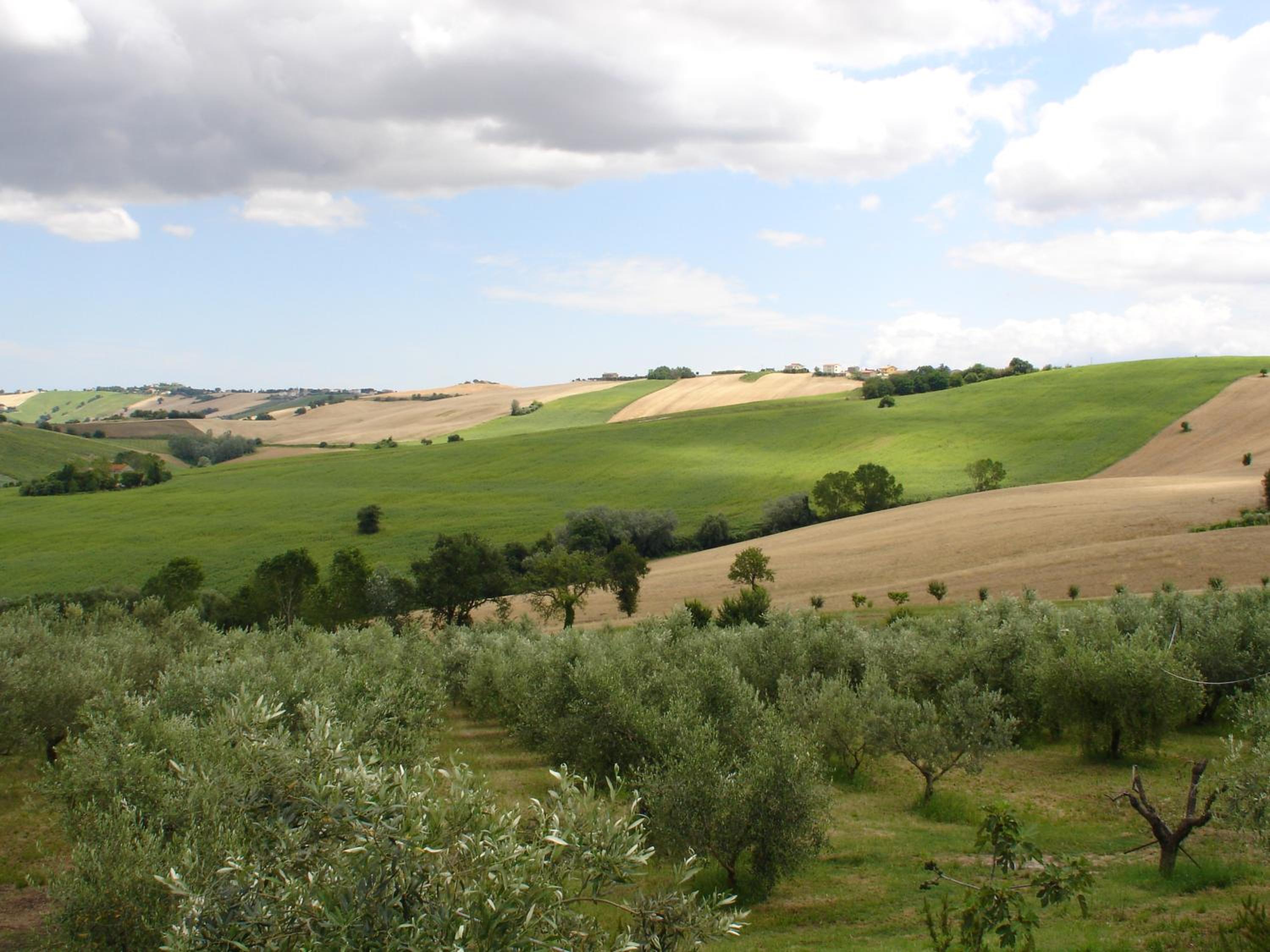 Agriturismo Al Crepuscolo