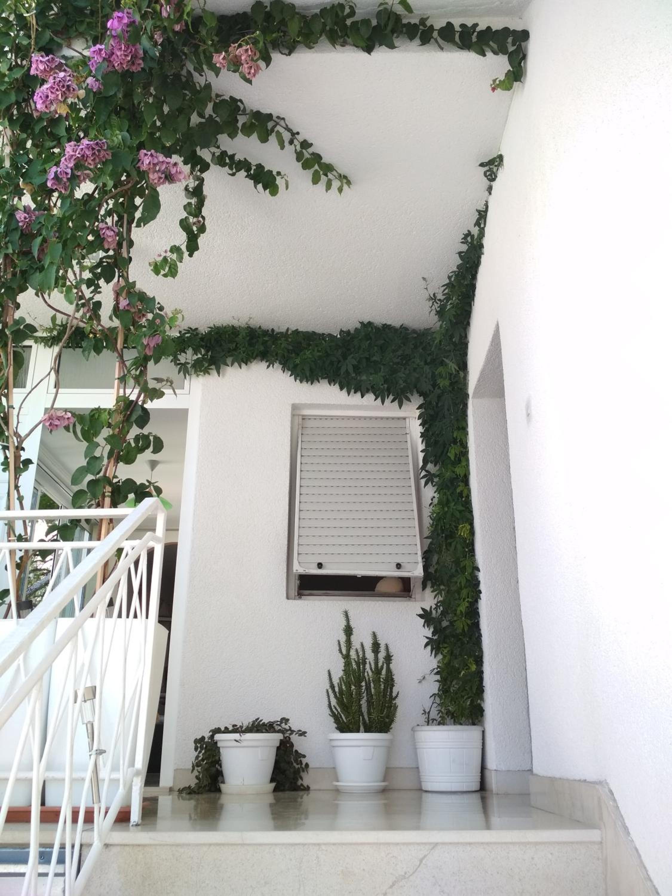 Apartmani Carević