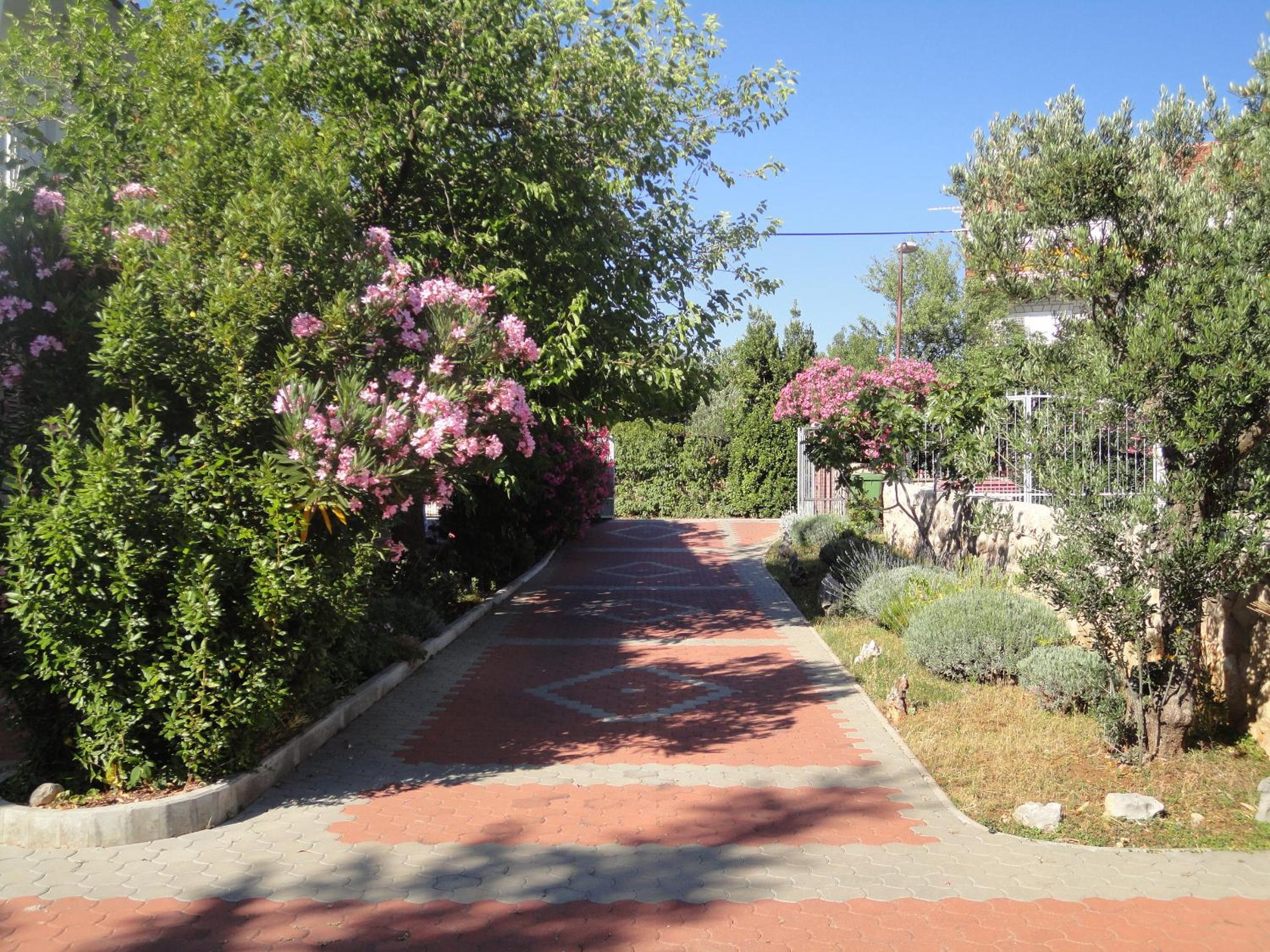 Photo 23
