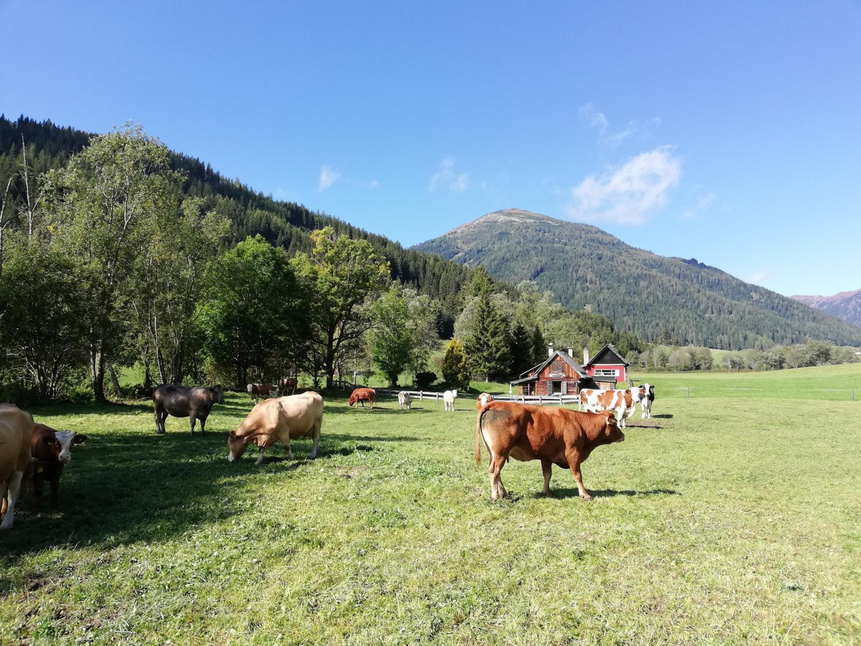 Almland Hütte