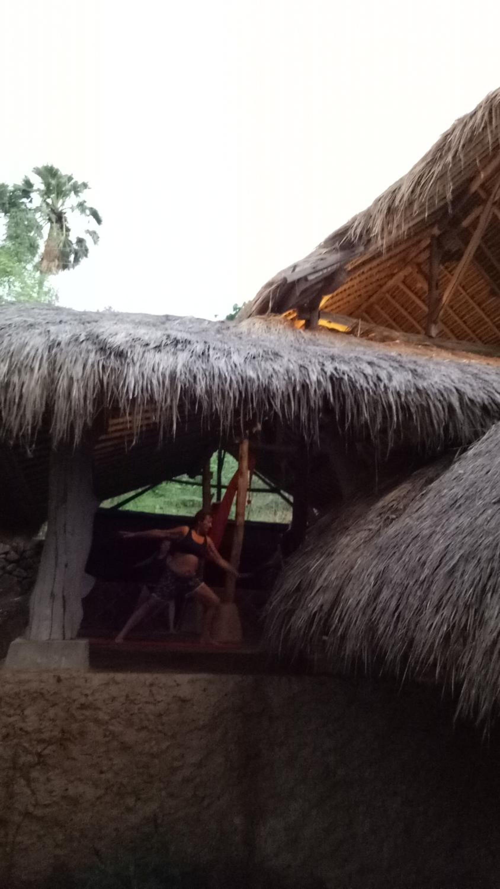 Photo 41