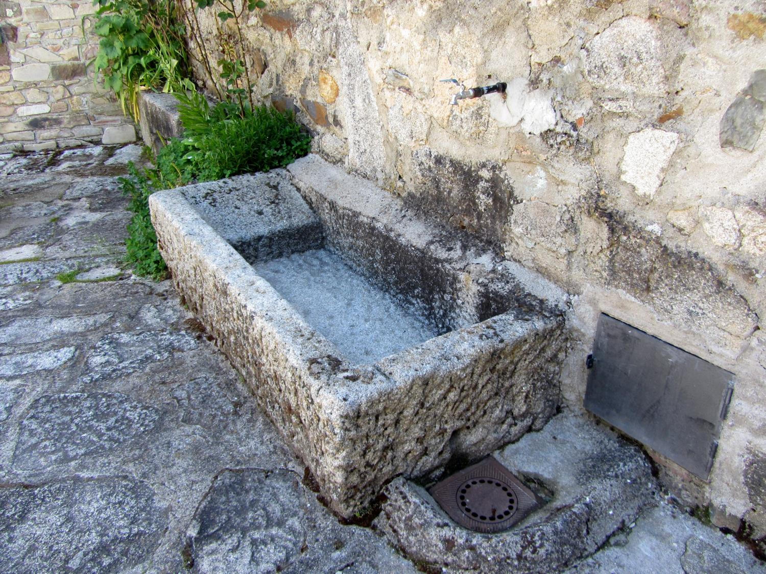 Photo 51