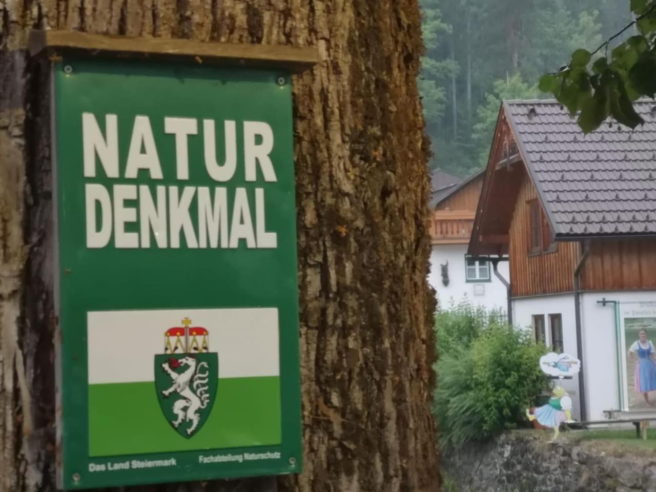 Appartement mit Doppelbett oder 2 Einzelbetten