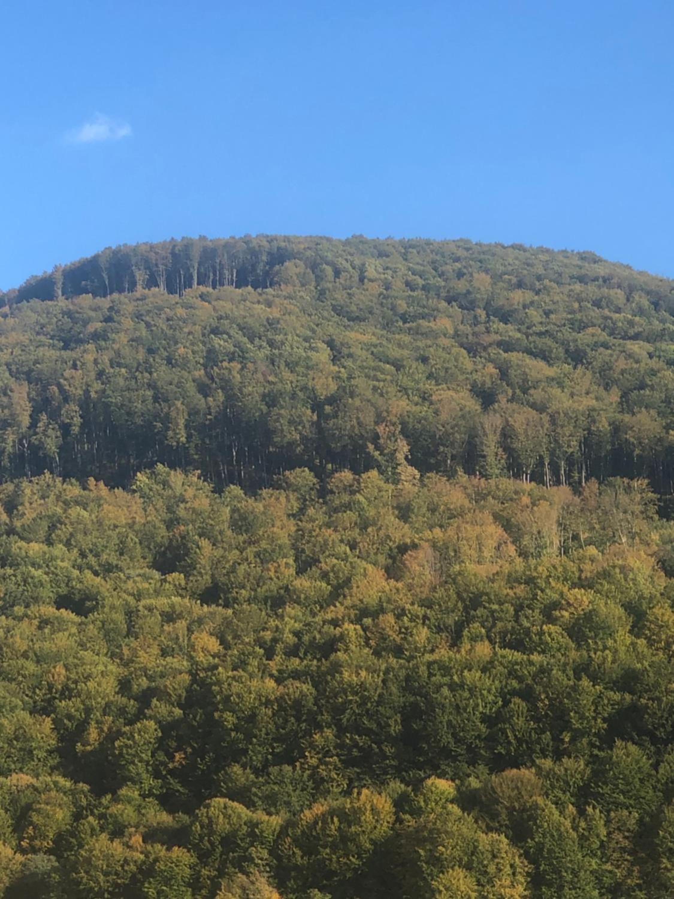 Smerekovyi Dvir view 4