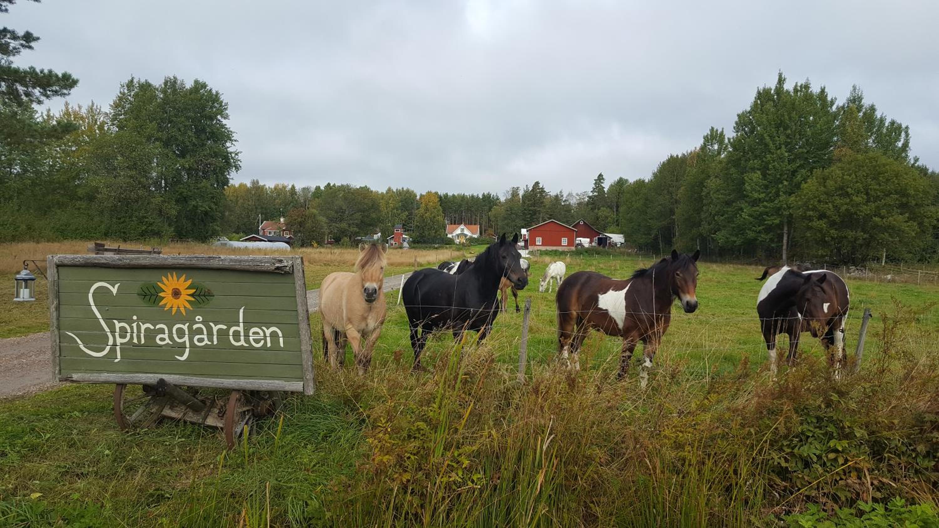 Spiragården view 4
