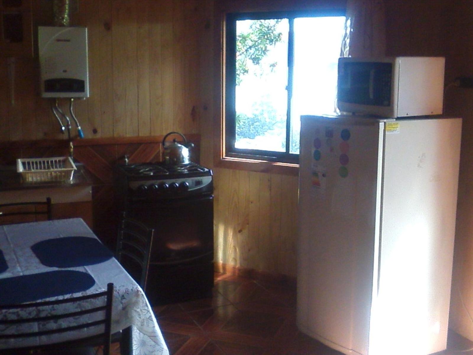 Cabanas Valdivia - Tres Espinos - camino a Niebla