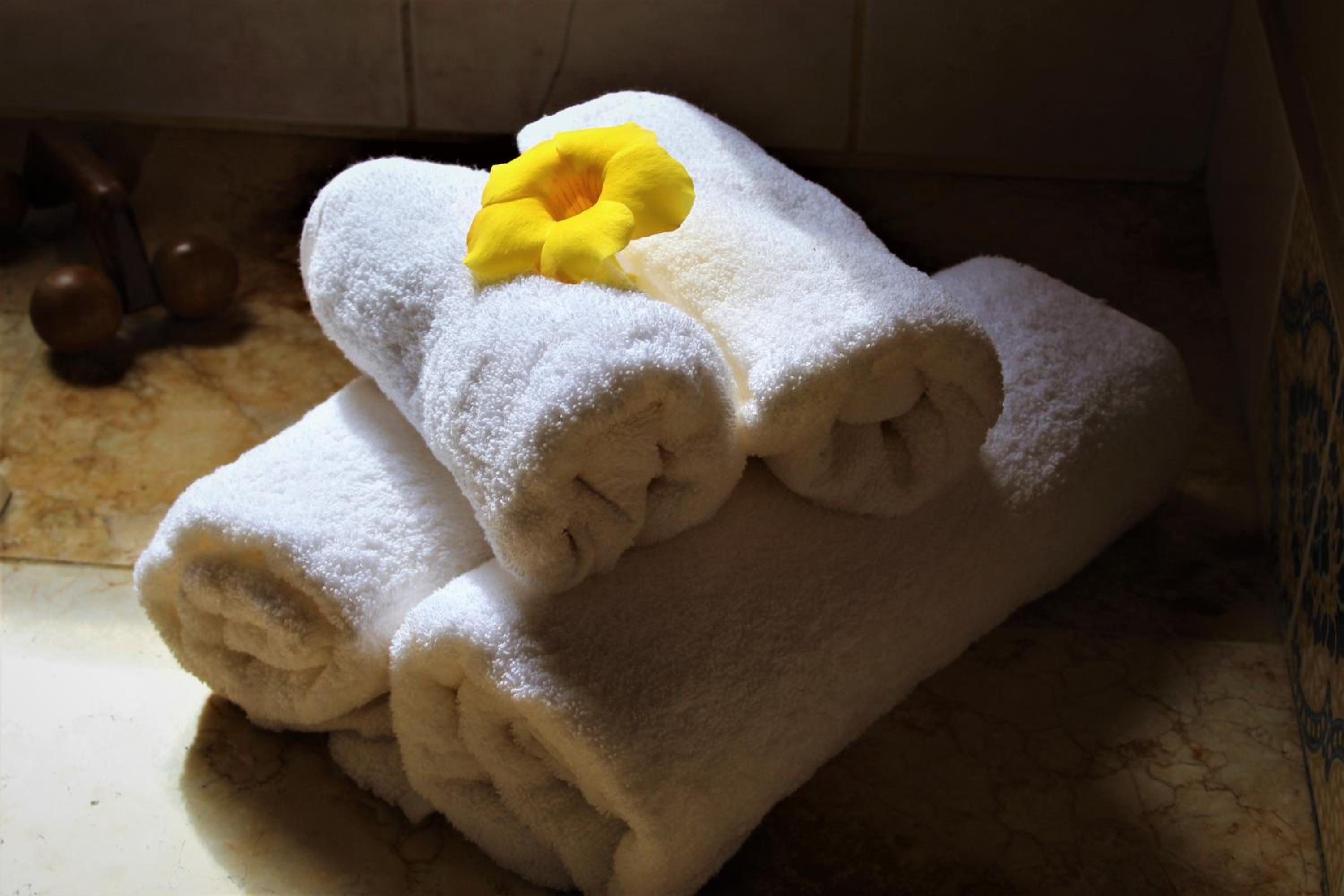 Luxury Suites Vila Indonésia
