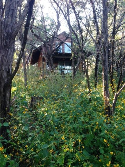Marble Falls Vacations - The Firehouse at Creekside Camp Cabins - Property Image 15