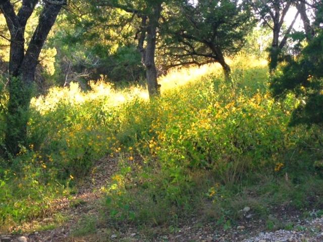 Marble Falls Vacations - The Firehouse at Creekside Camp  Cabins - Property Image 5