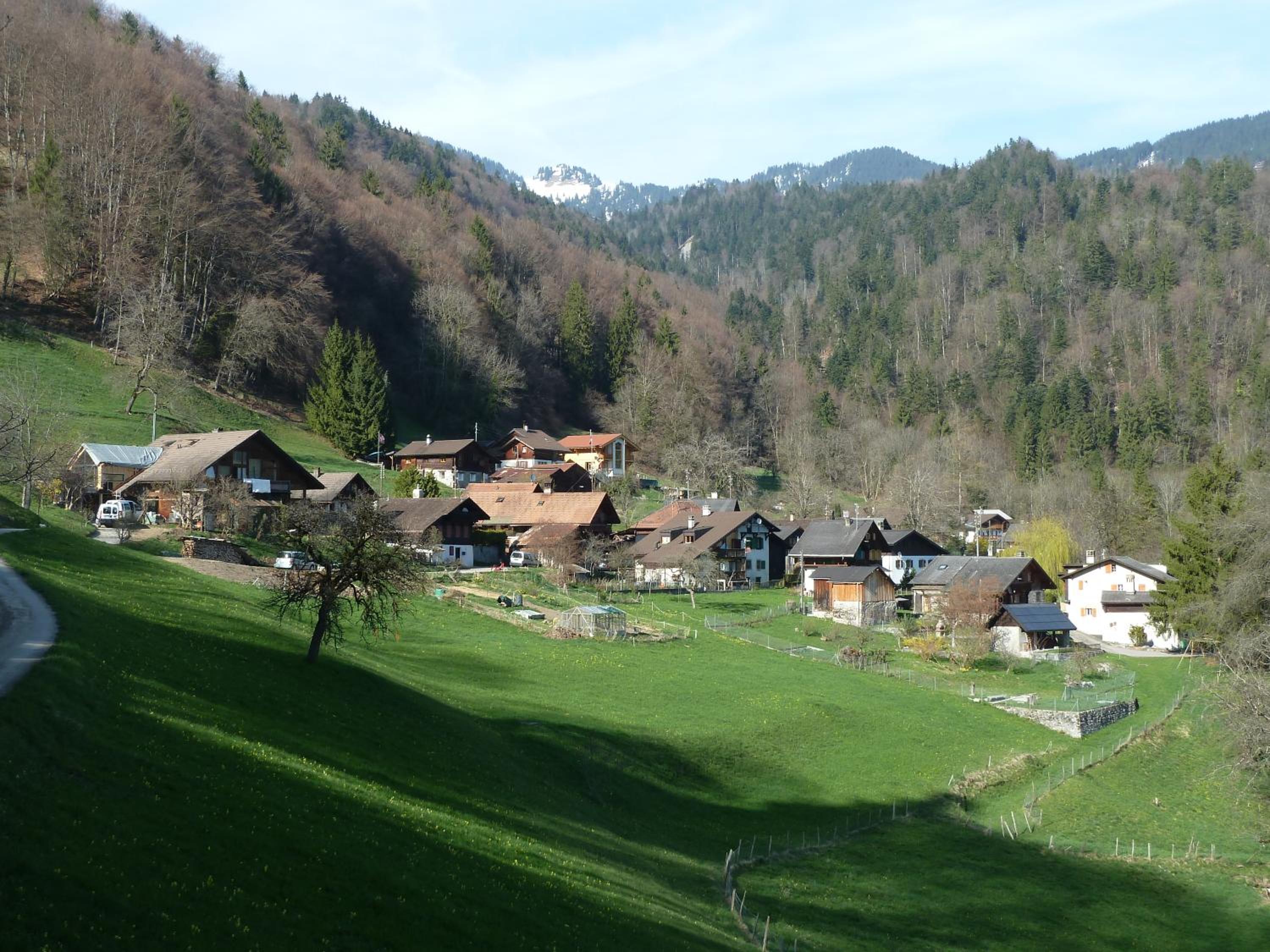 Photo 22