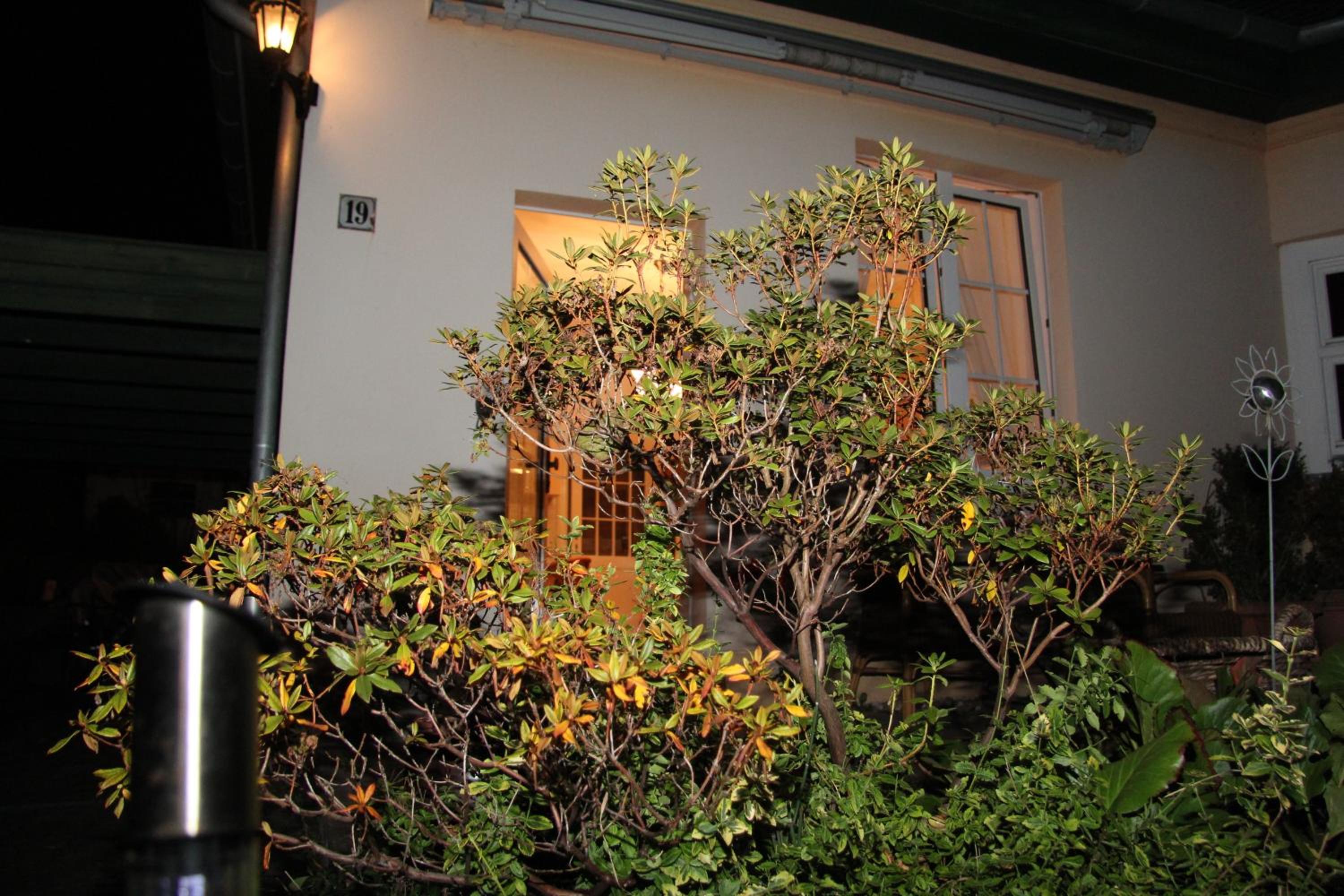 Photo 35