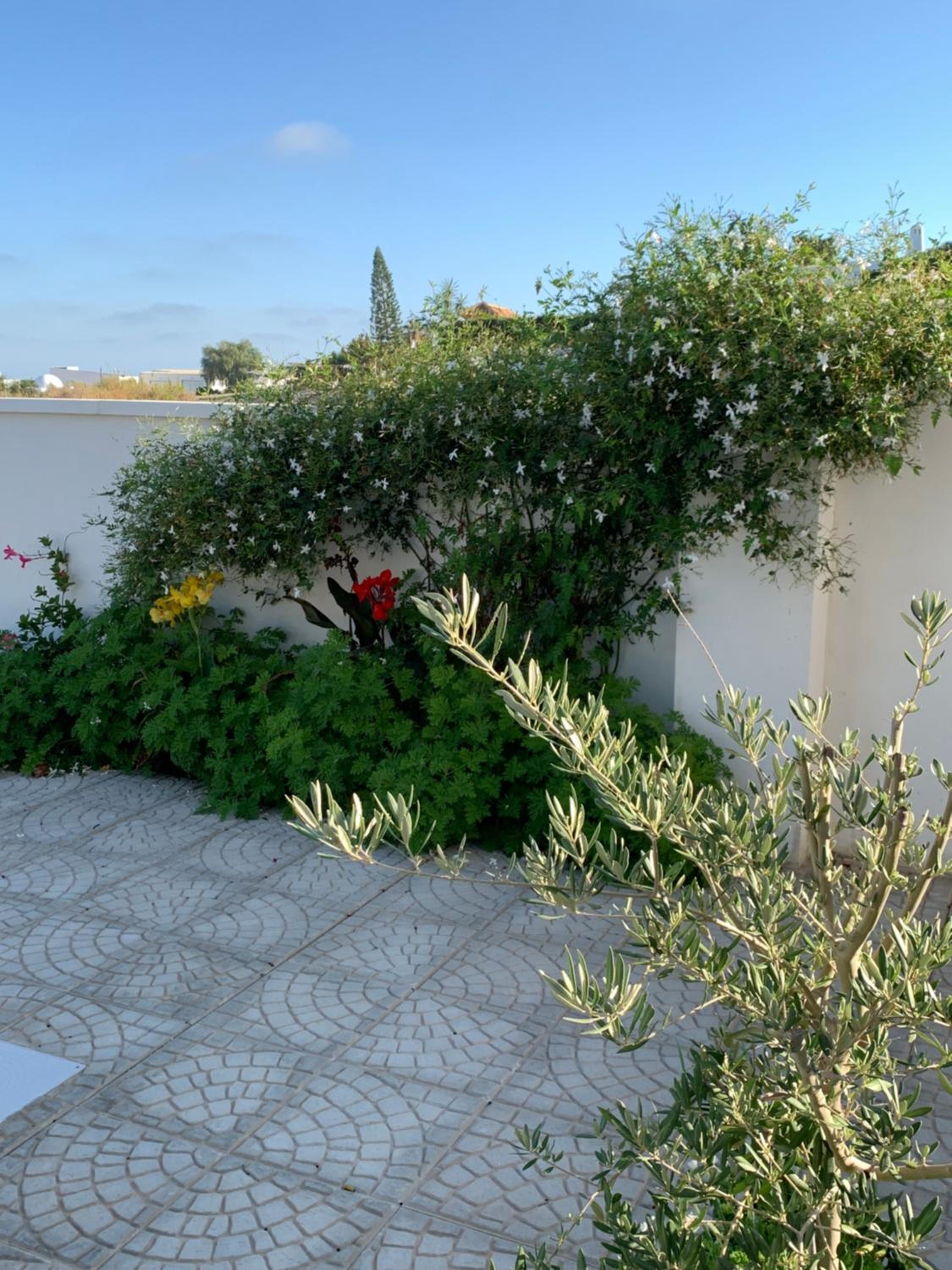 Maison Alriad - Alojamiento familiar tranquilo cerca del mar con jardín, porche y parking privado en el interior de la finca no apto para fiestas
