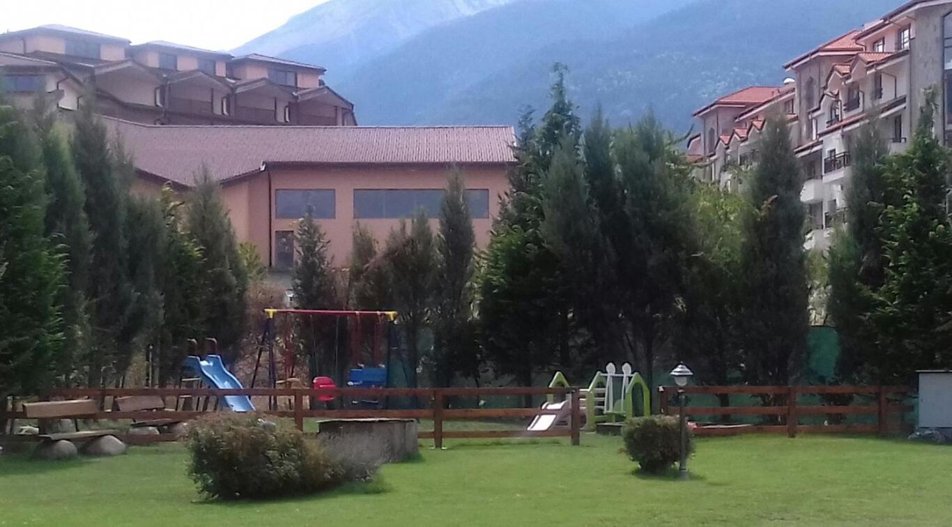 Photo 6
