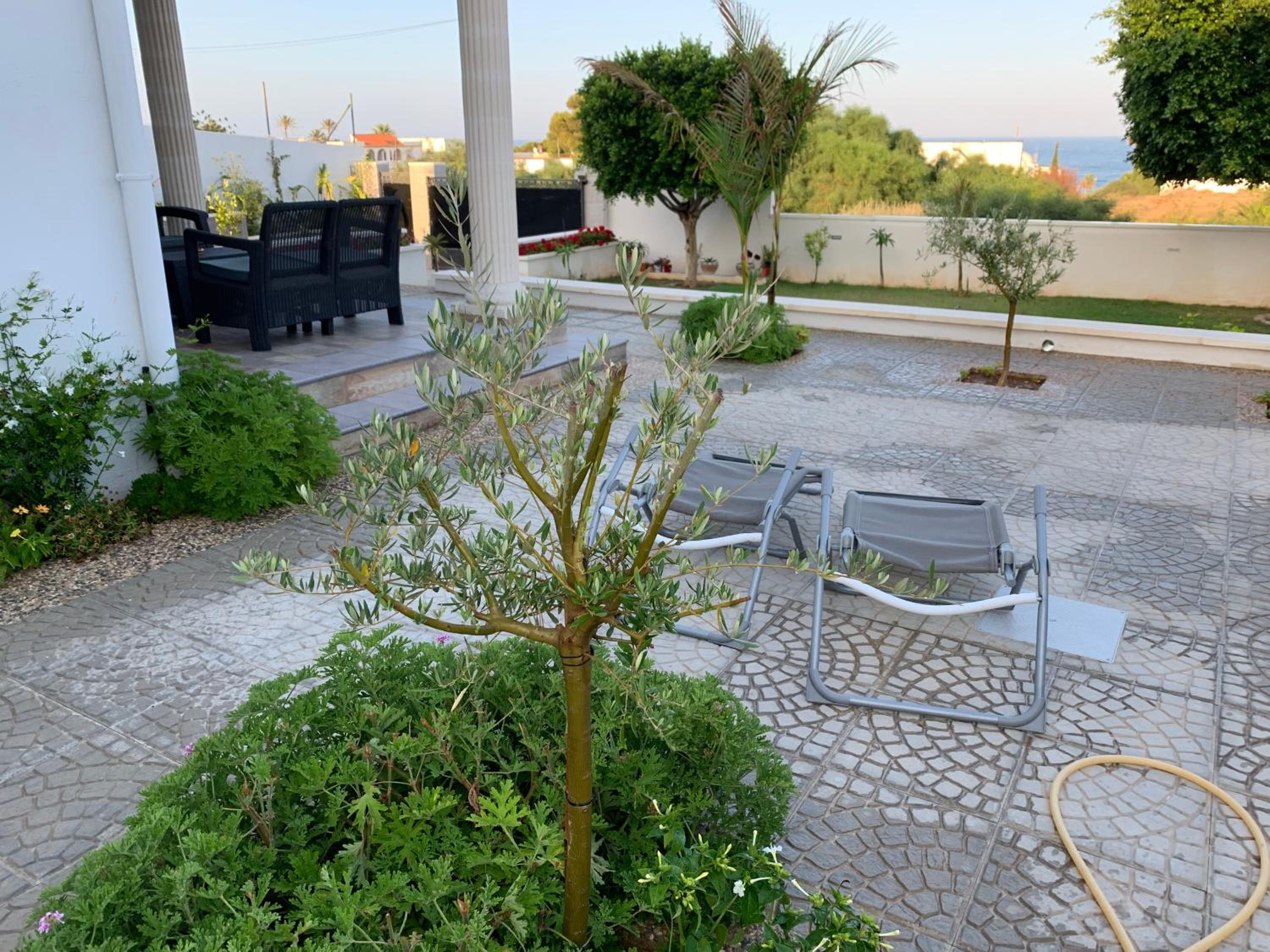 Maison Alriad - Alojamiento familiar tranquilo cerca del mar con jardín, porche y parking privado en el interior de la finca no apto para fiestas