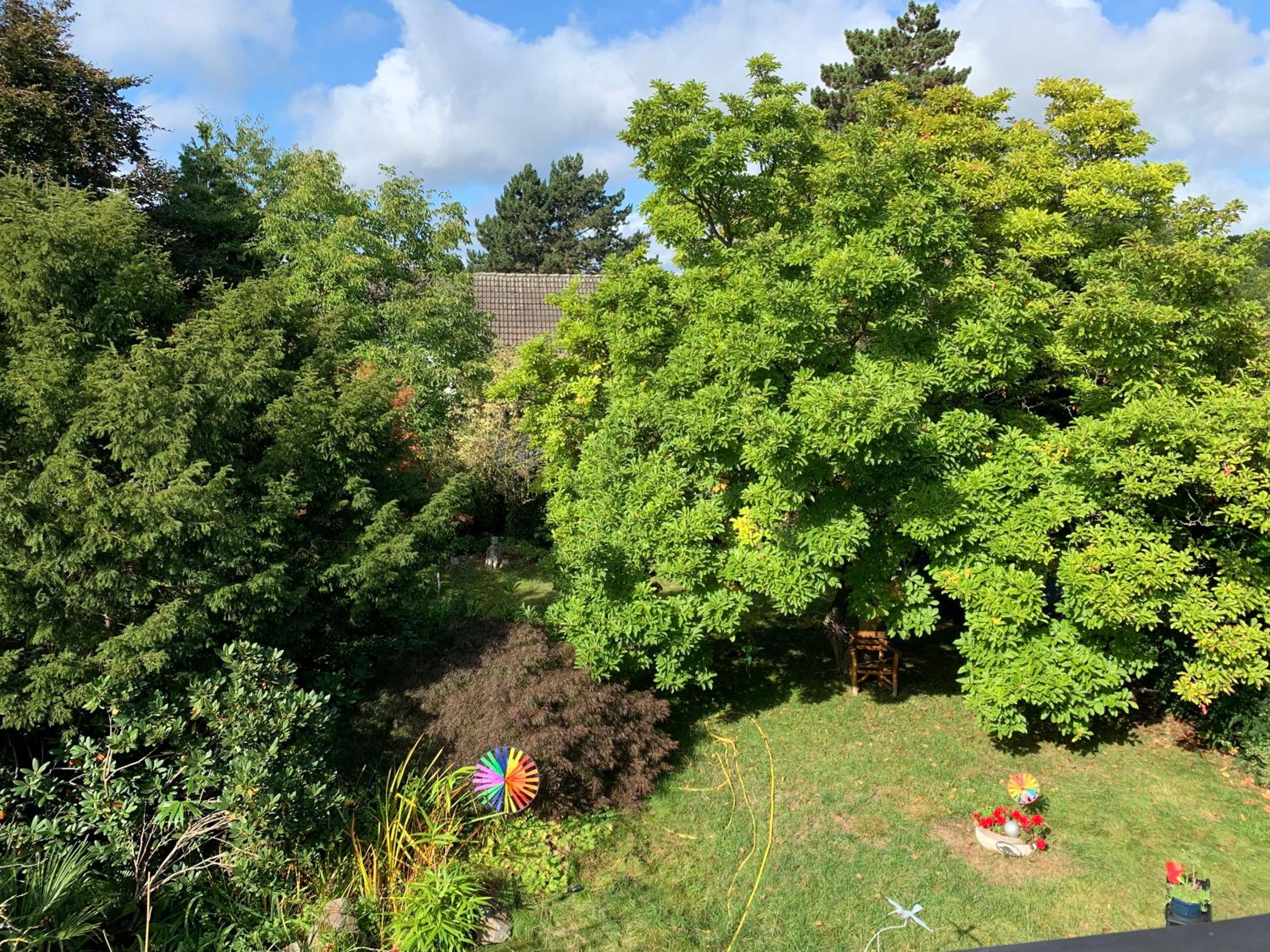 1 A Loft 5 Pers Familie 100qm Terrasse Düsselkdorf Köln