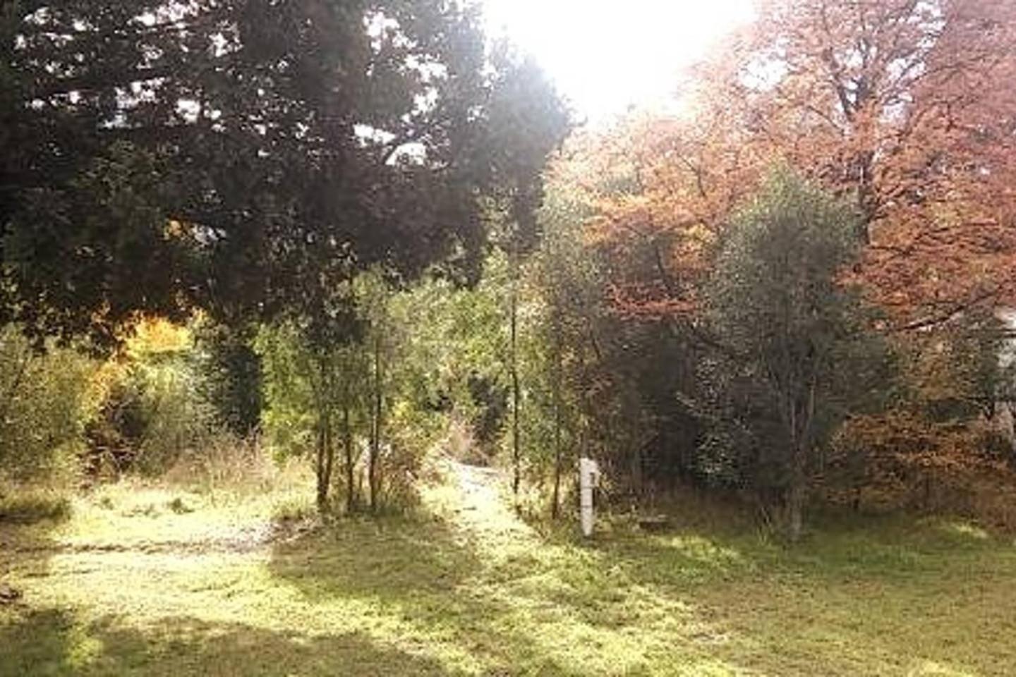 EL Arka