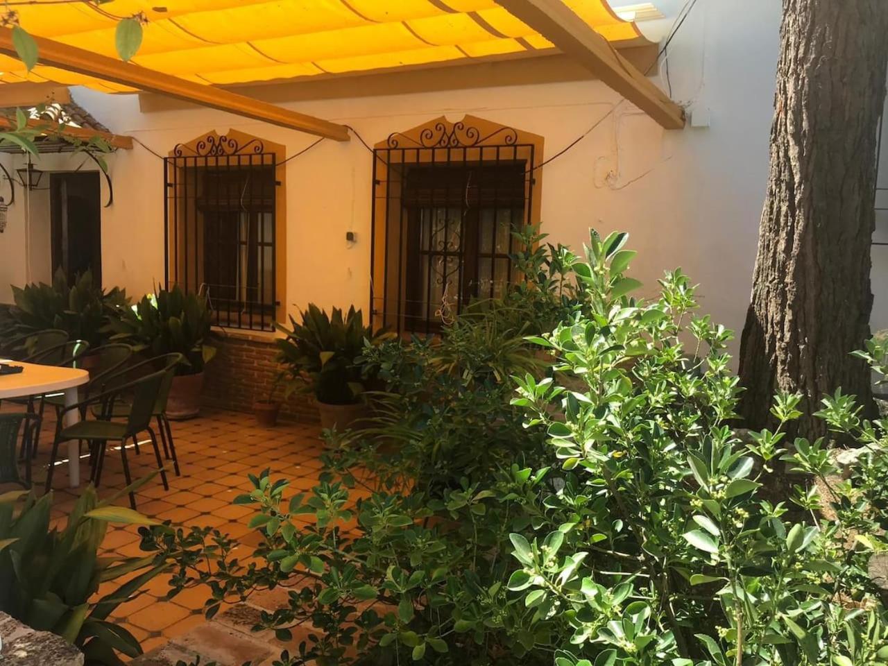 Paredejas del Rey view 5