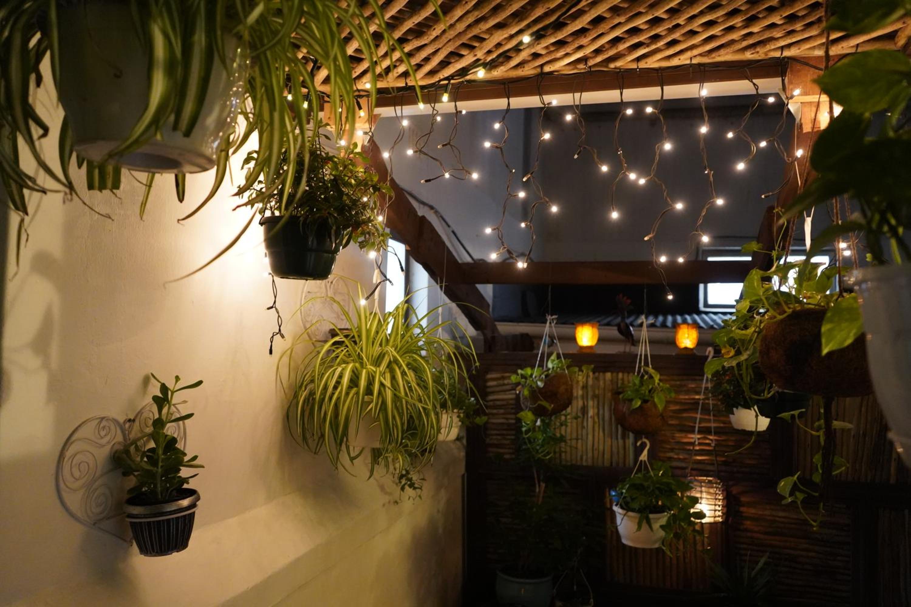 Urban Hive Backpackers