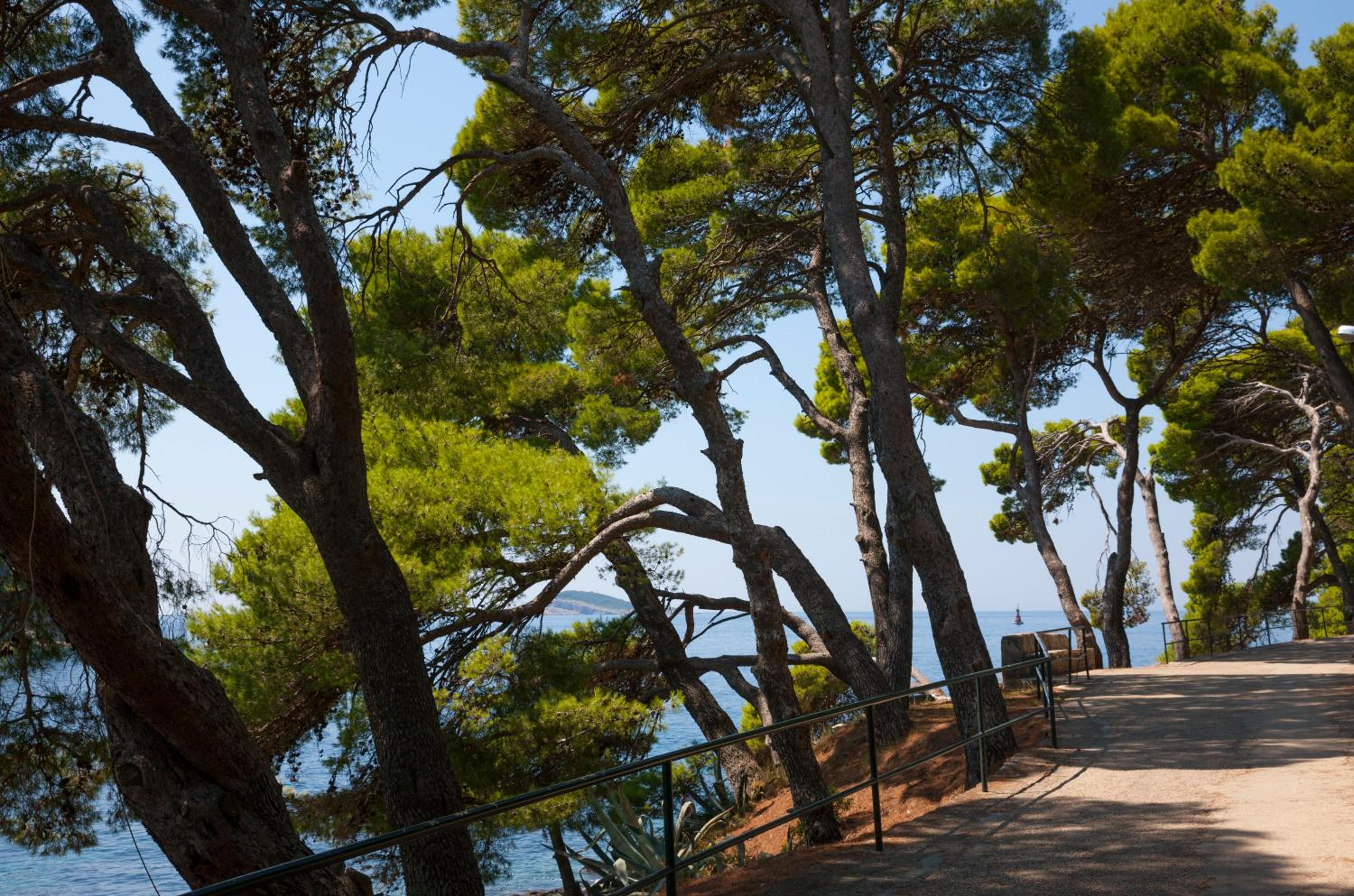 Cavtat Vacations - Remisens Hotel Albatros-All inclusive - Property Image 3