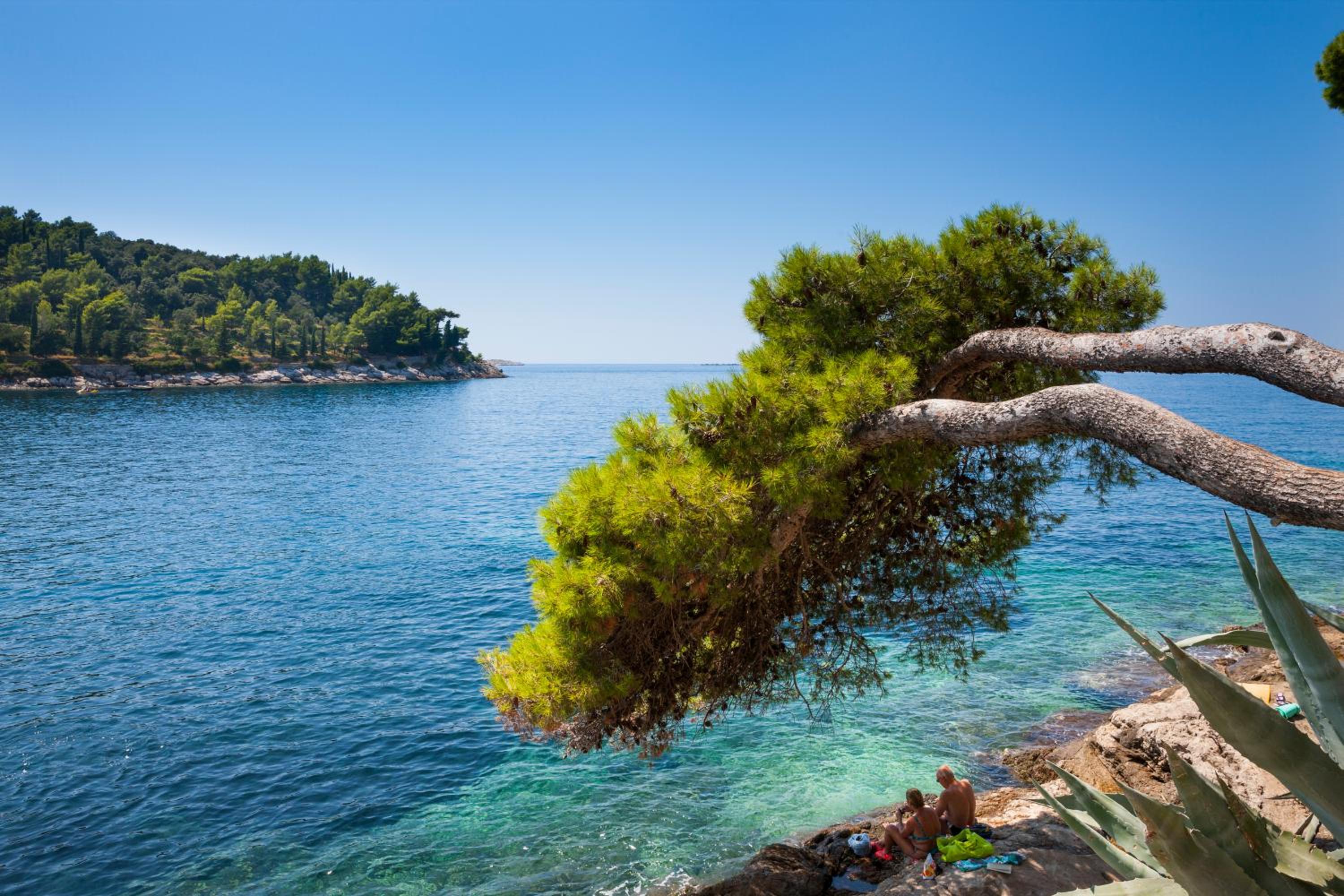 Cavtat Vacations - Remisens Hotel Albatros-All inclusive - Property Image 4