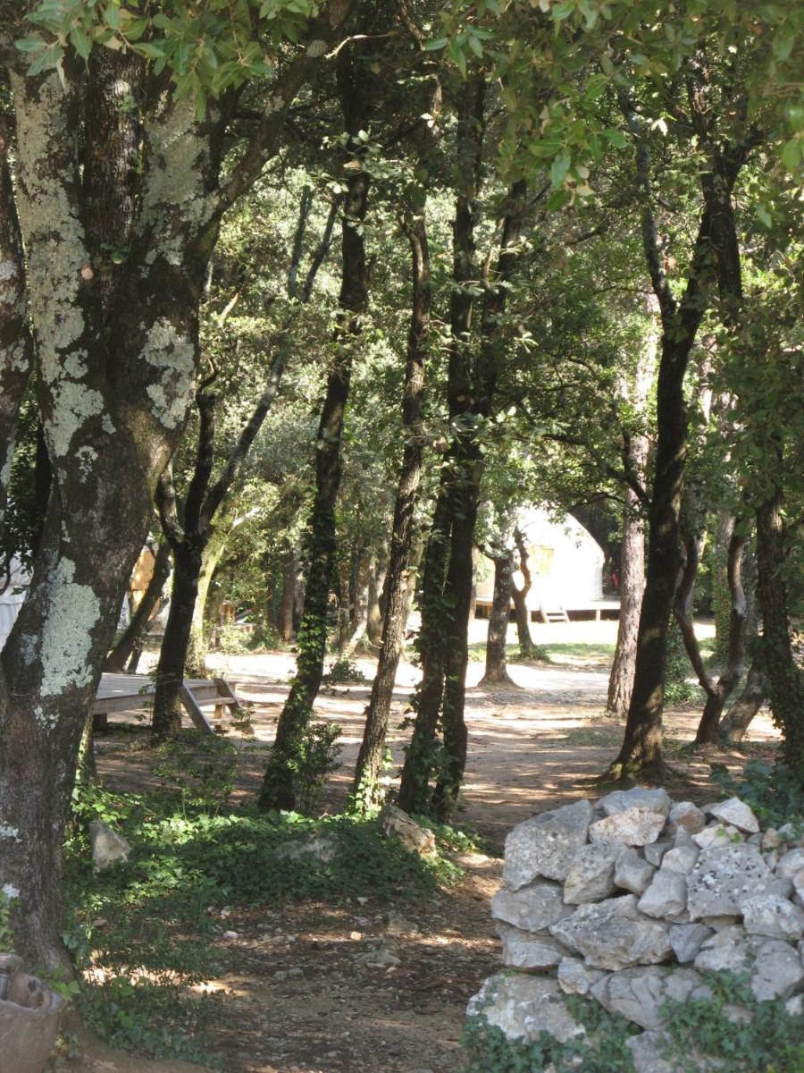 Photo 24