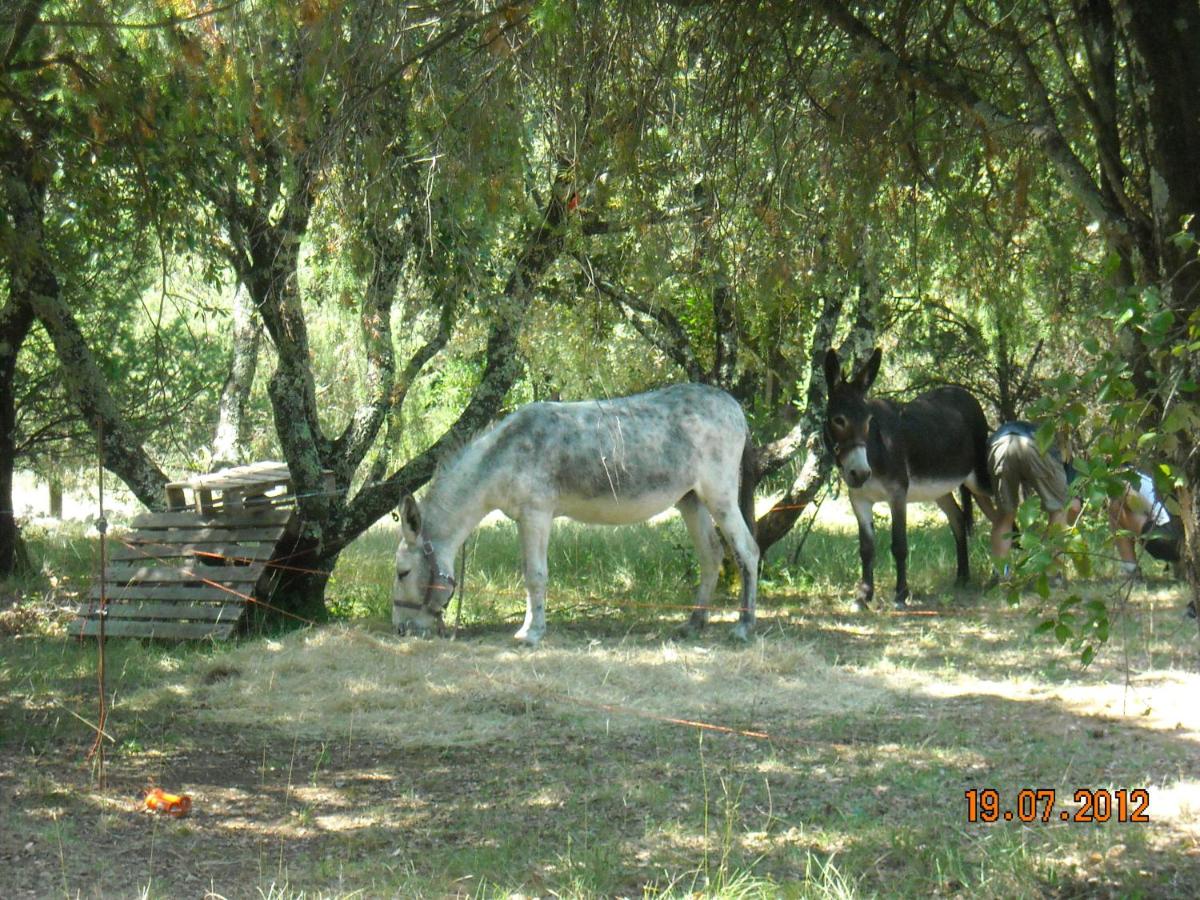 Photo 35