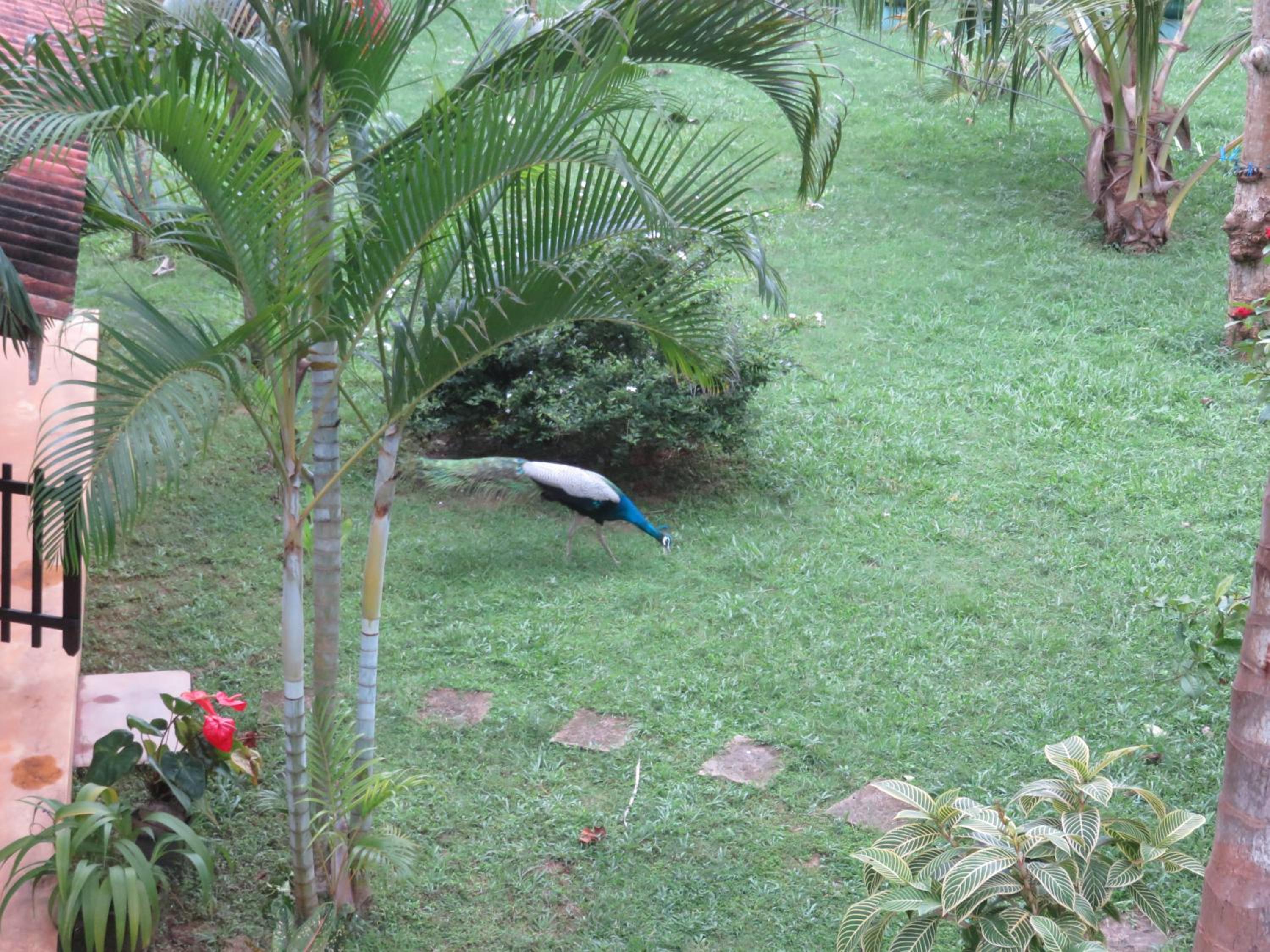 Beach Lagoon Guesthouse