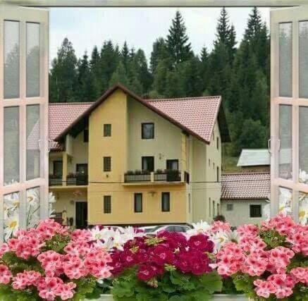 Flori de Bucovina view 2