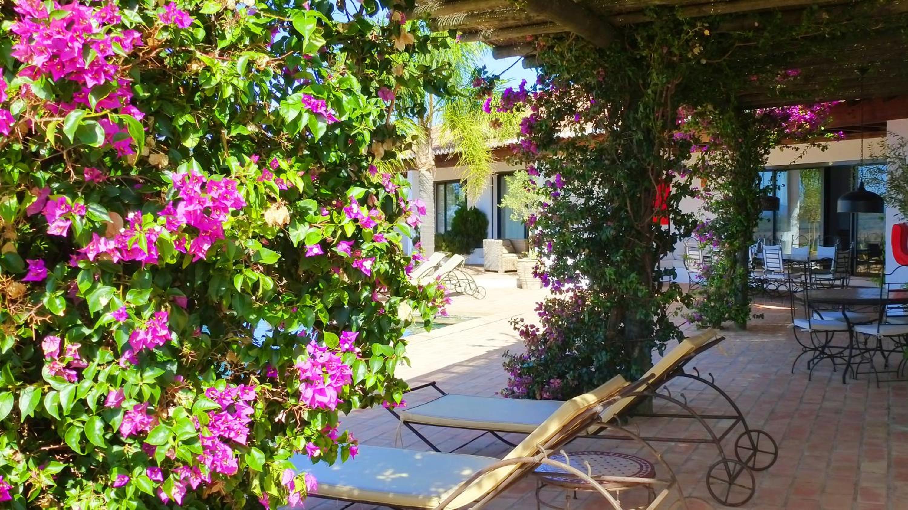 Hotel Sharish - Monte Das Estevas - Image 1