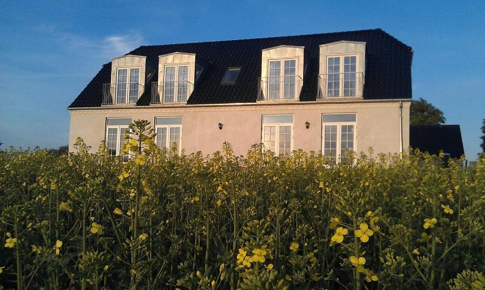 Roskilde B&B