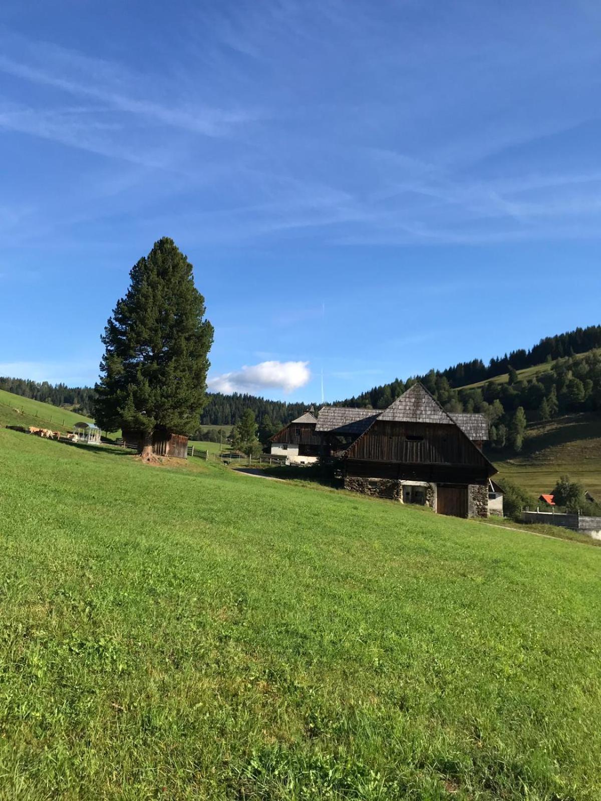 Wohlfühlpension Kreischberg inklusive MurauGästeCard