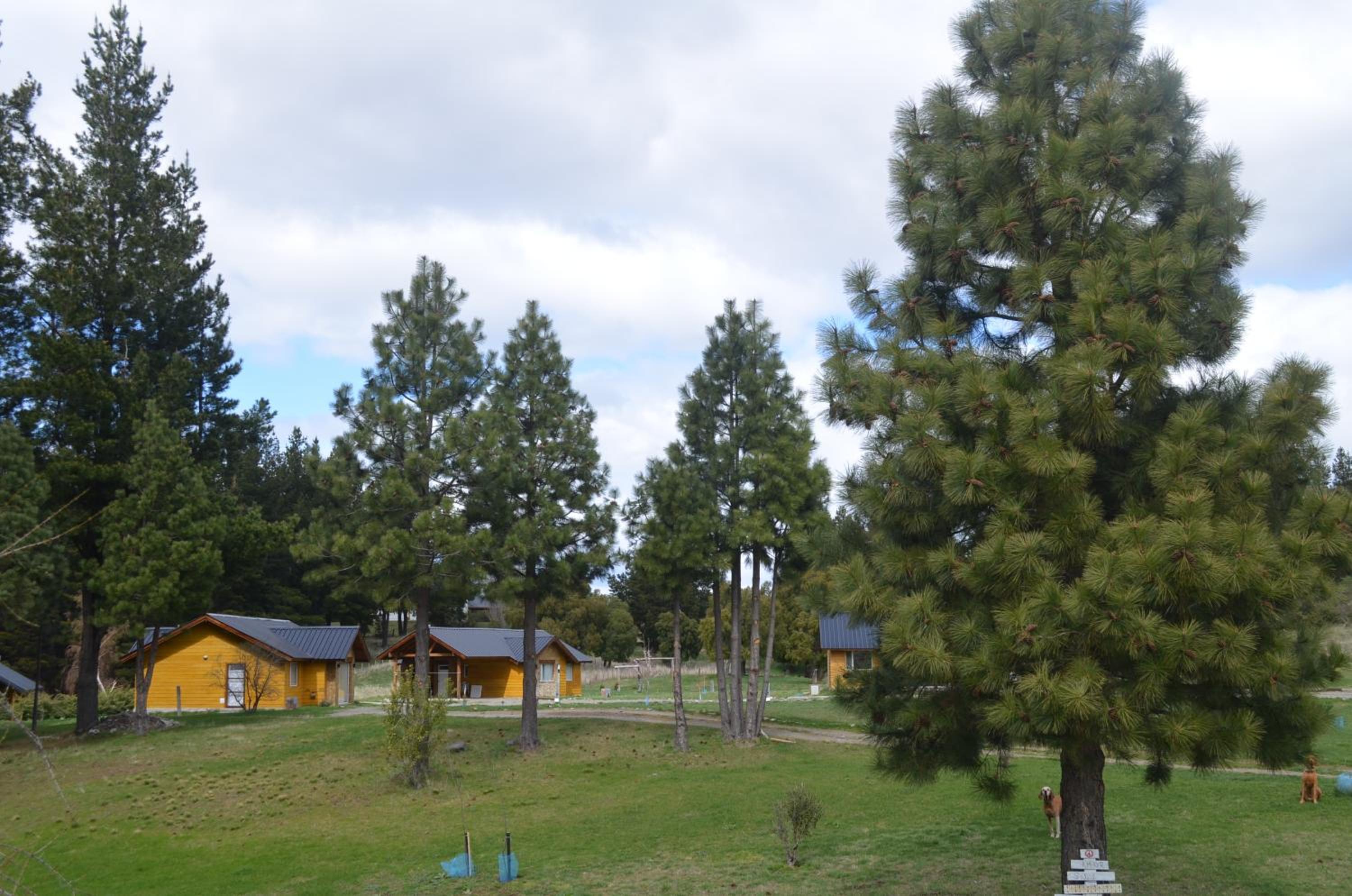 Altos Del Molino