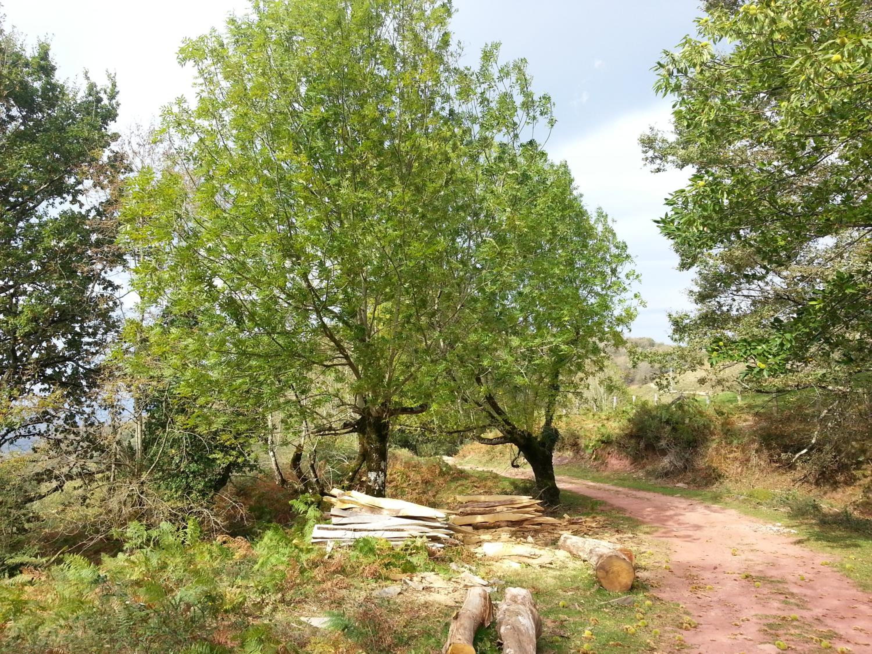 Photo 46