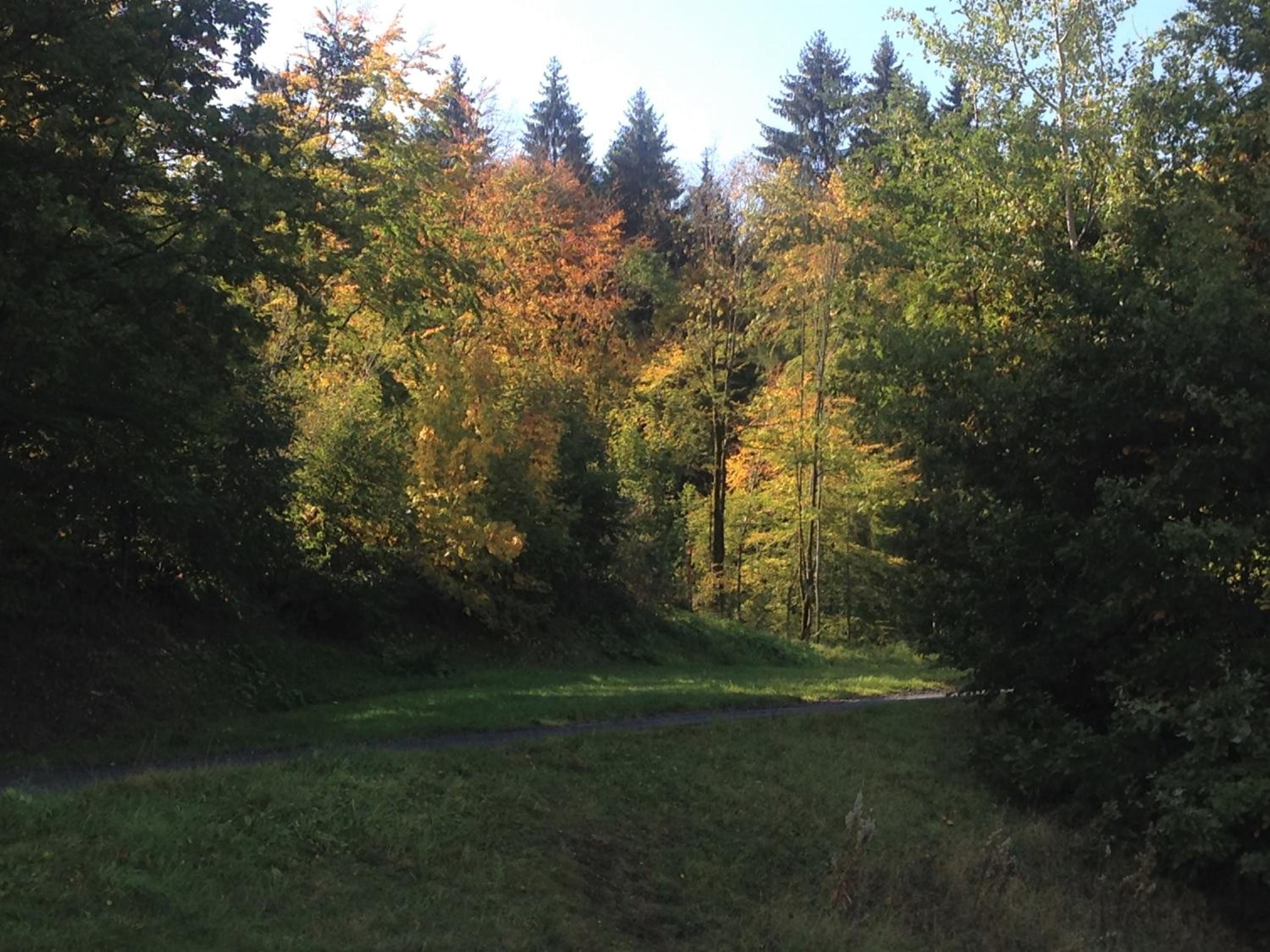 Photo 13